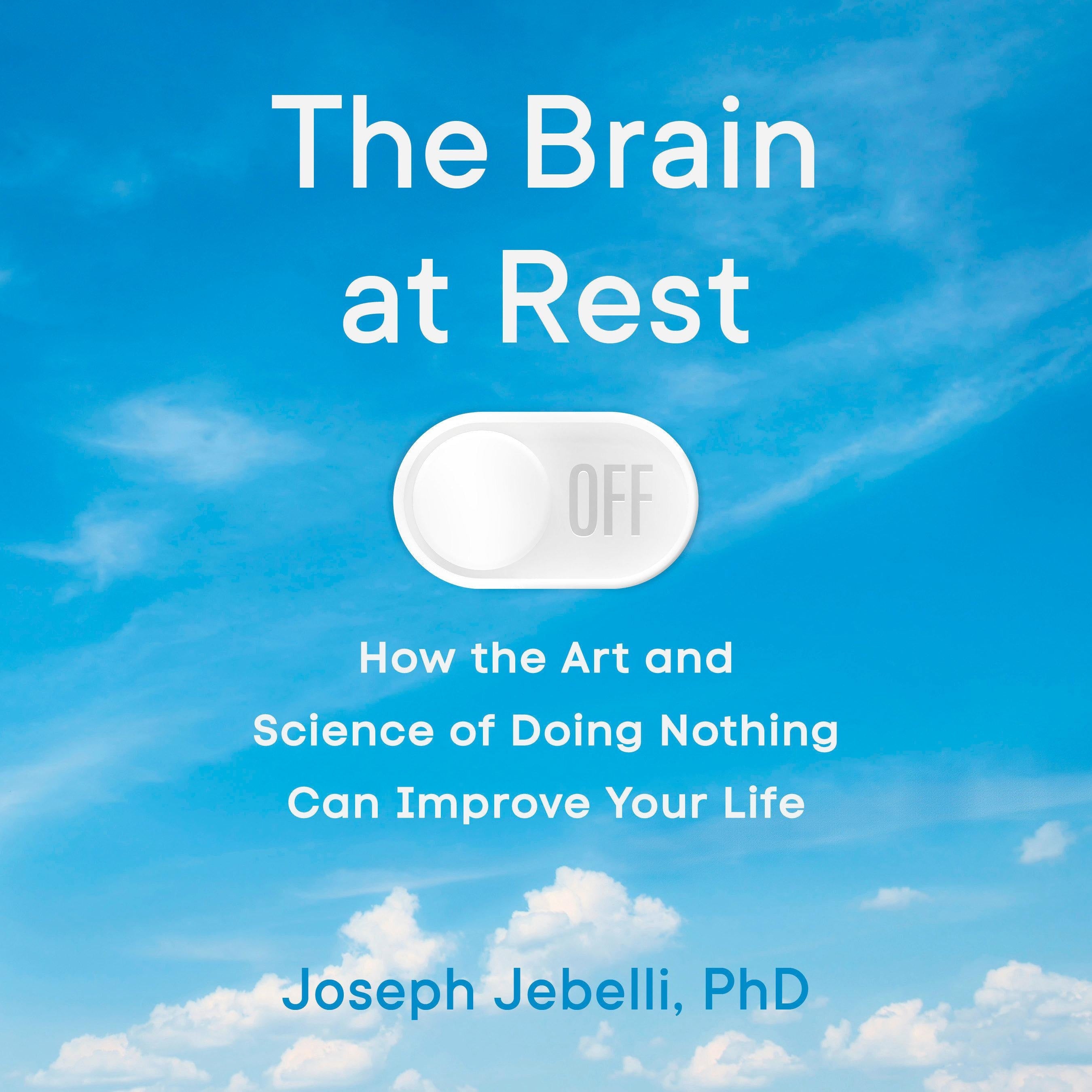 The Brain at Rest