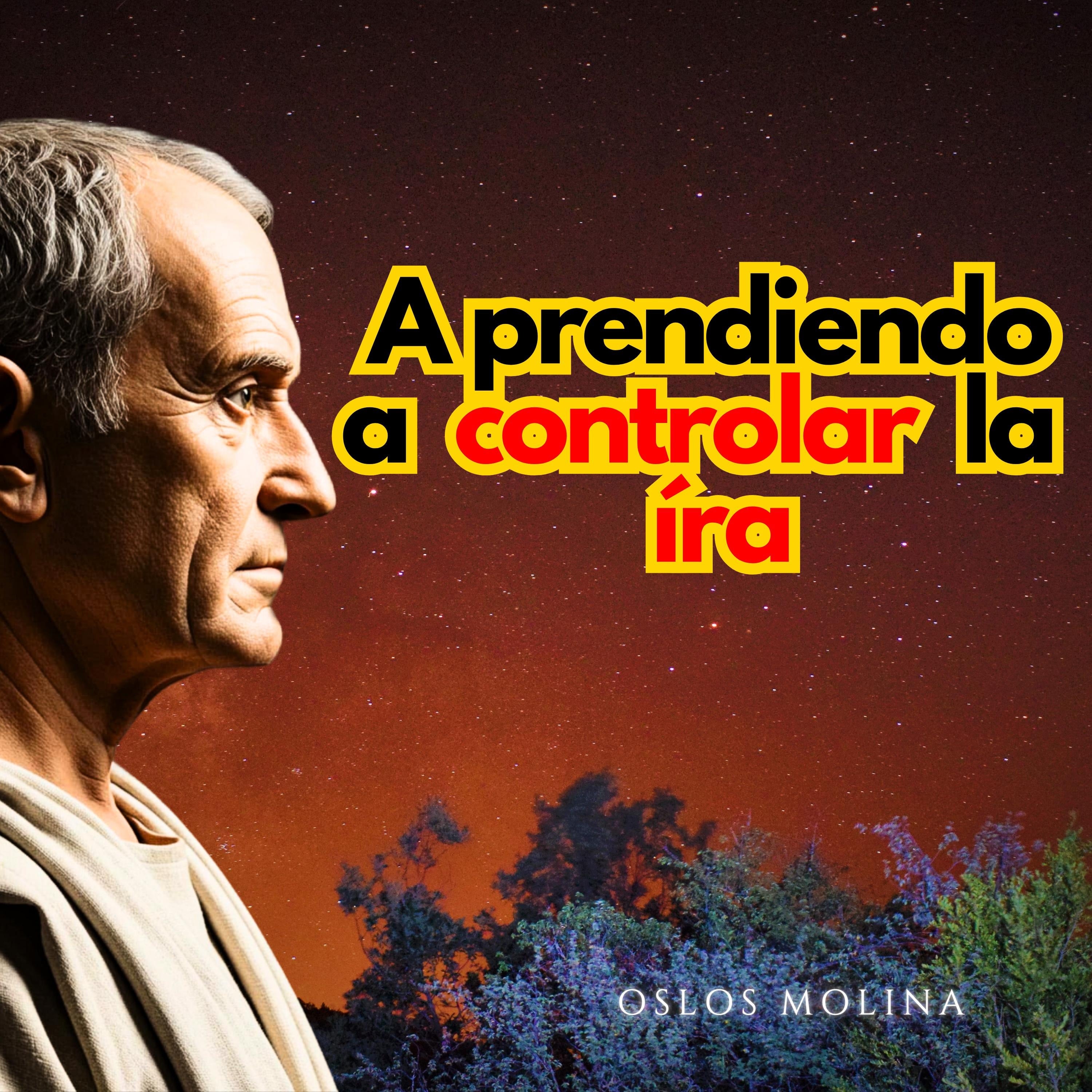 Aprendiendo a controlar la IRA