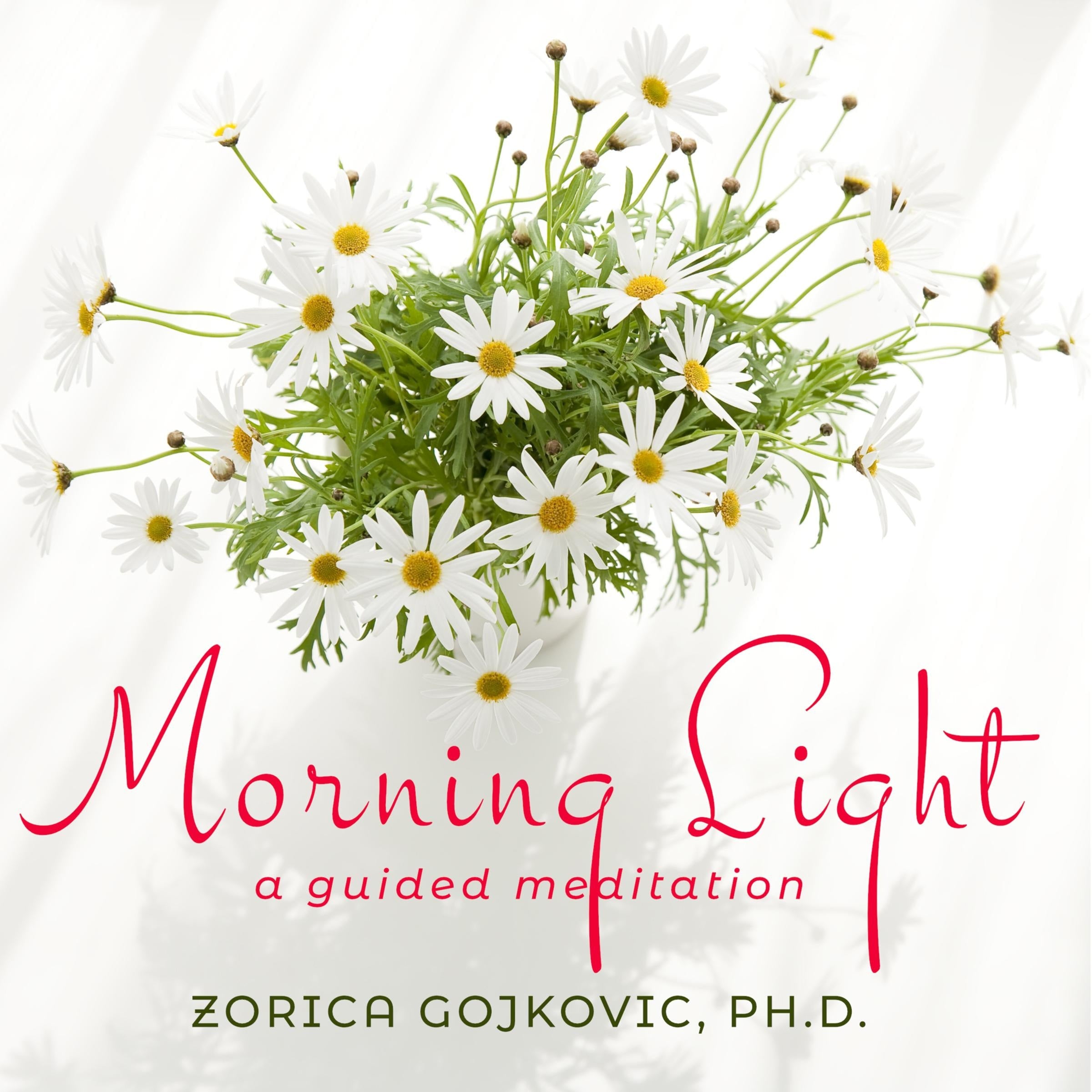 Morning Light