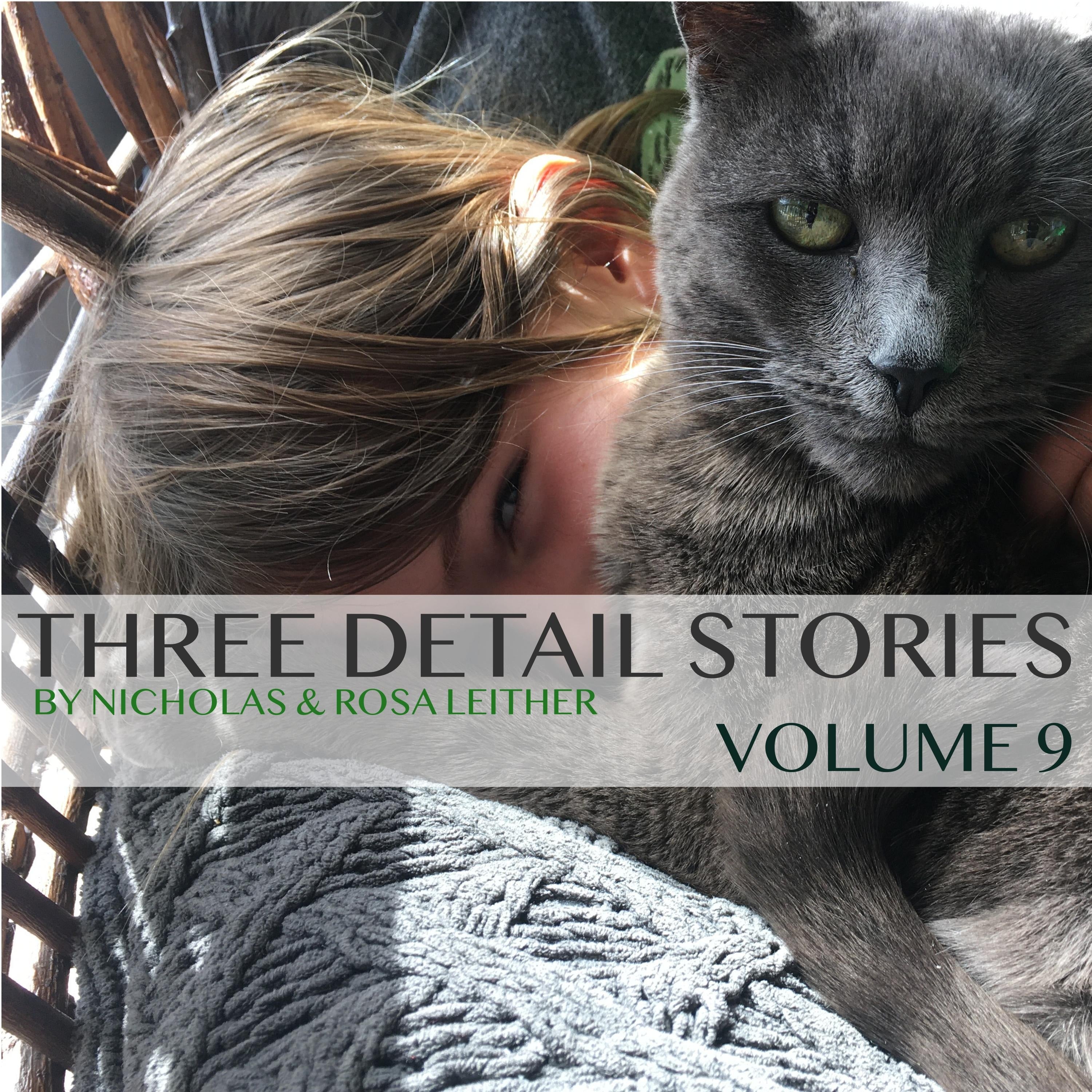 Three Detail Stories