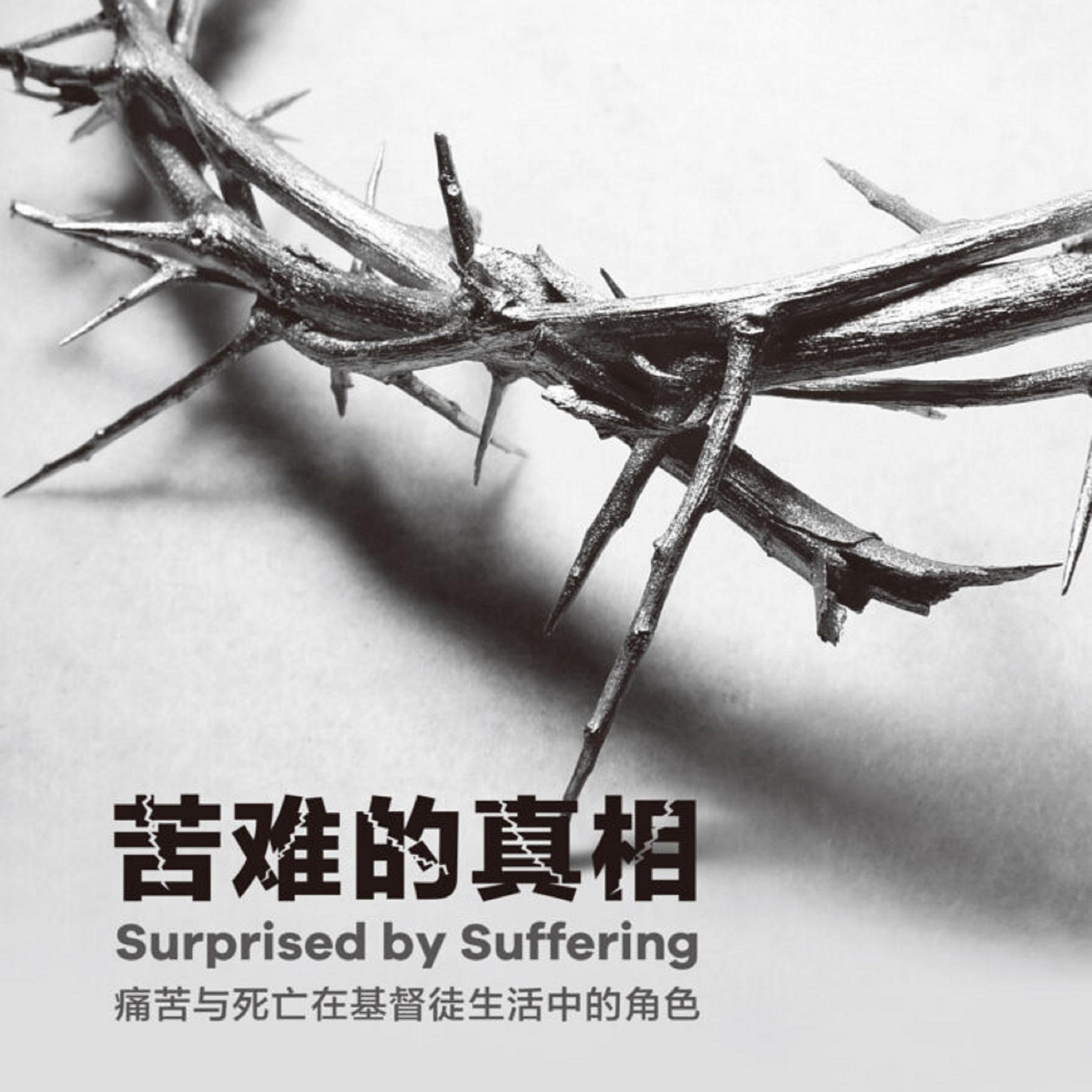 苦难的真相