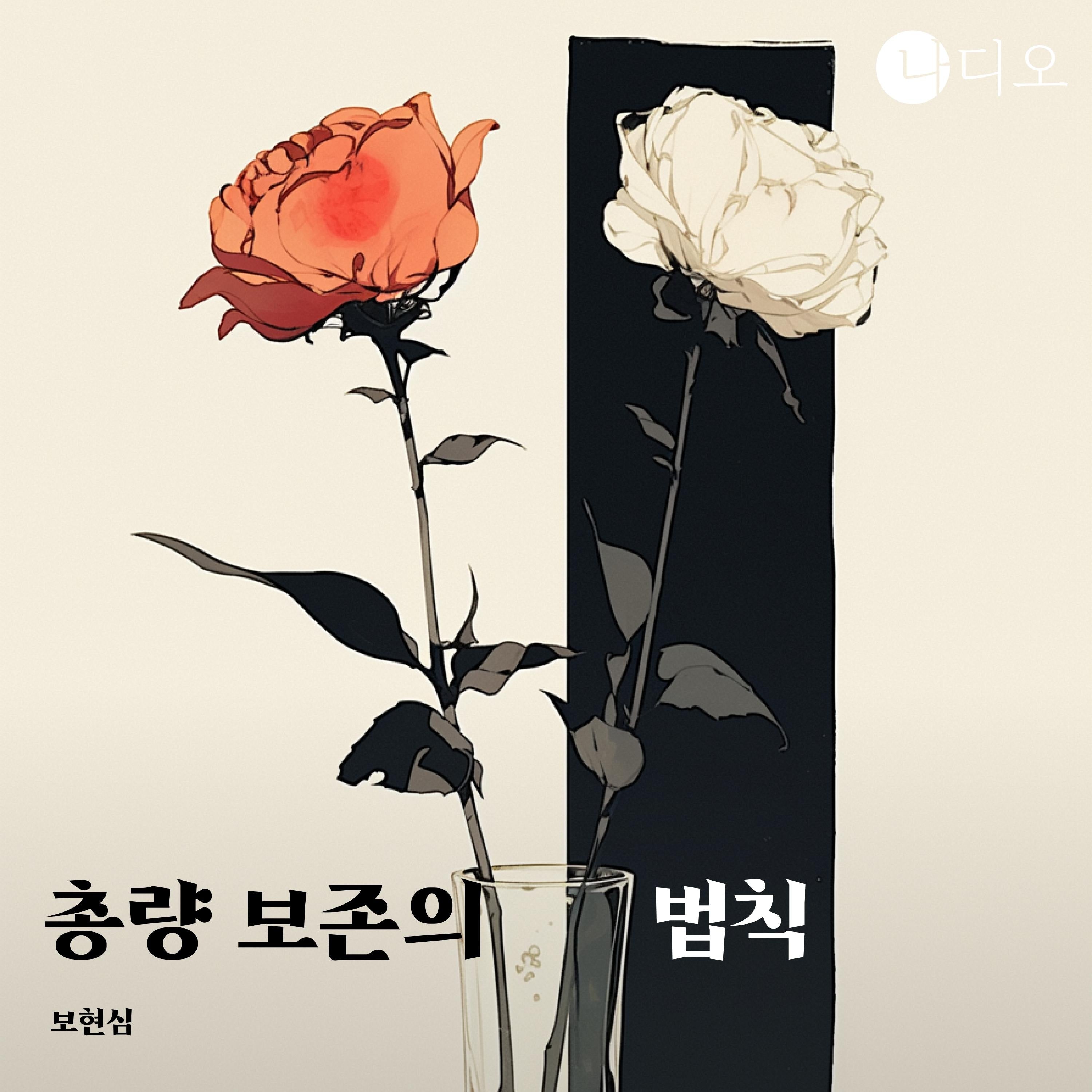 총량 보존의 법칙