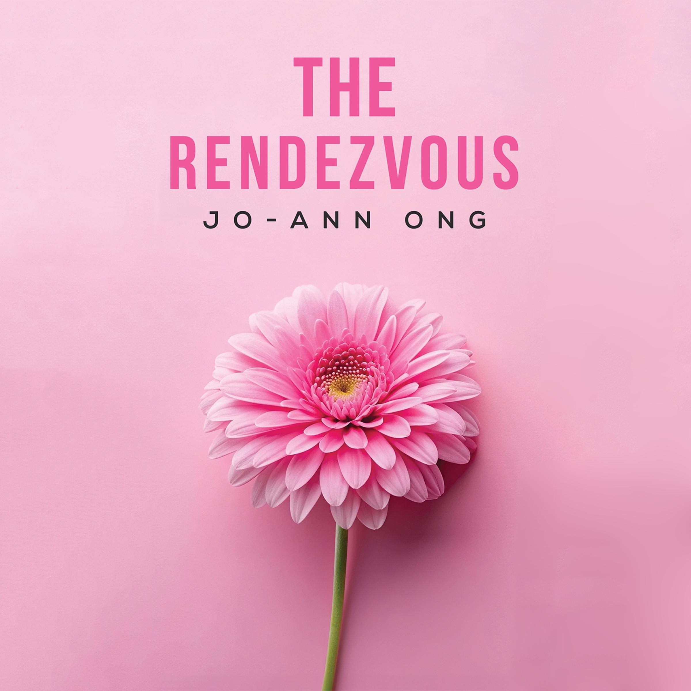 The Rendezvous