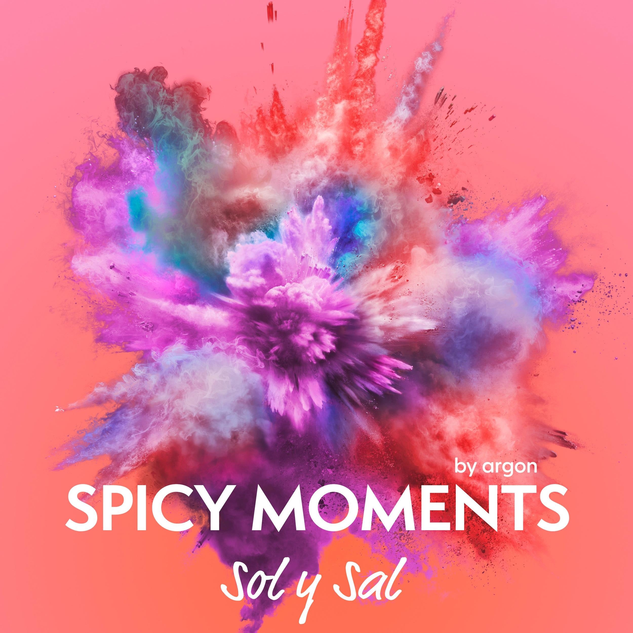 Sol y Sal - Erotische Geschichte - spicy moments, Band 22 (Ungekürzte Lesung)