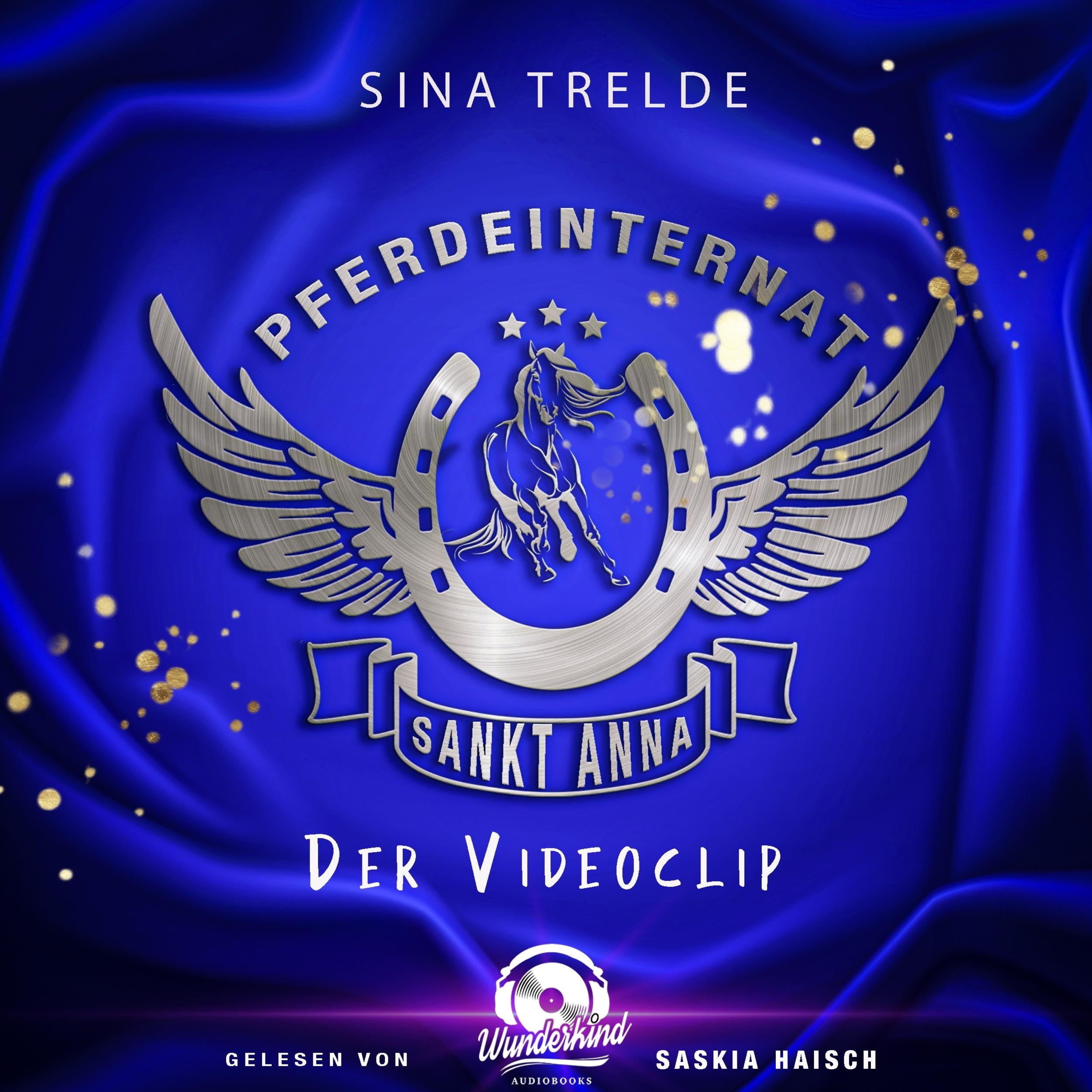 Der Videoclip - Pferdeinternat Sankt Anna, Band 2 (Ungekürzt)