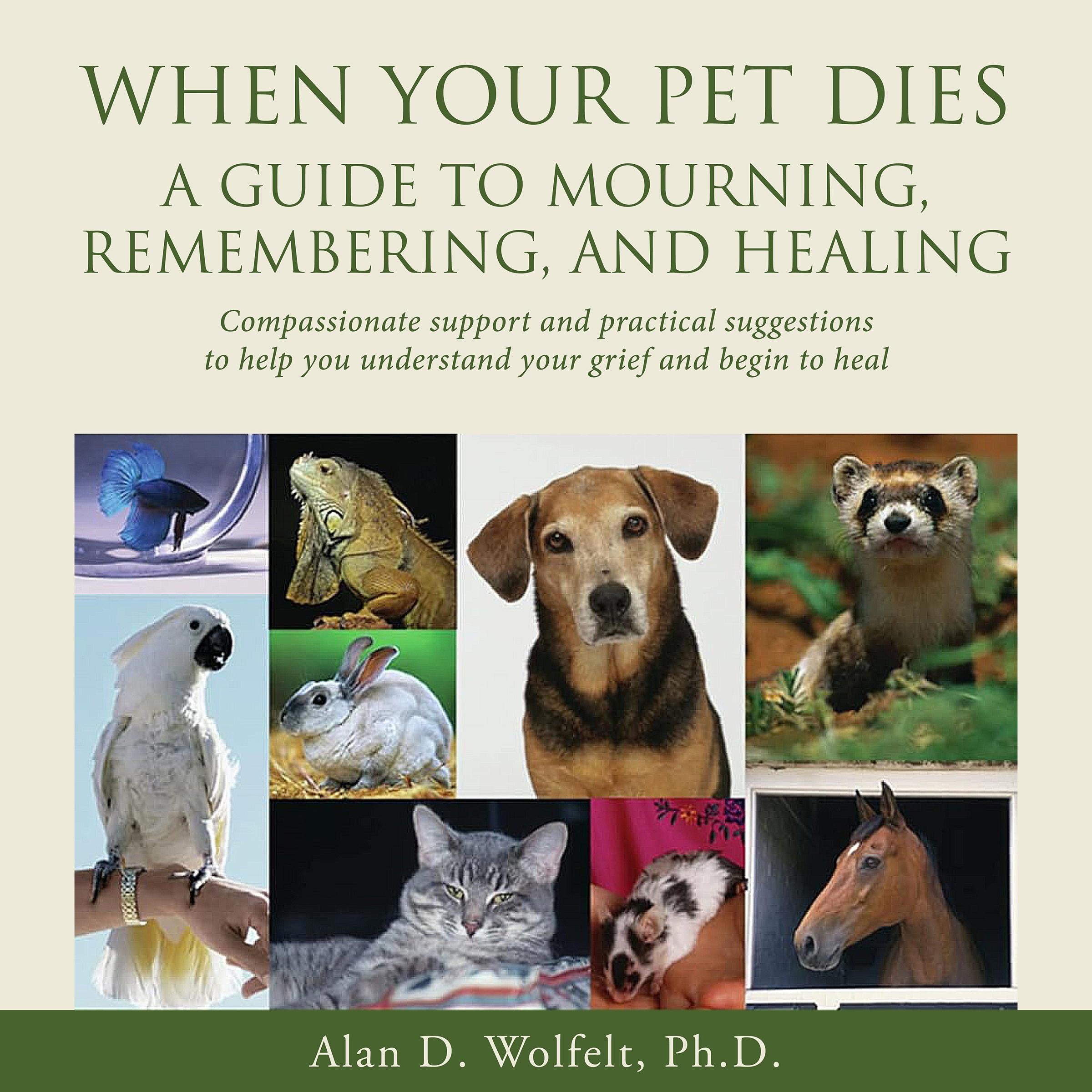 When Your Pet Dies