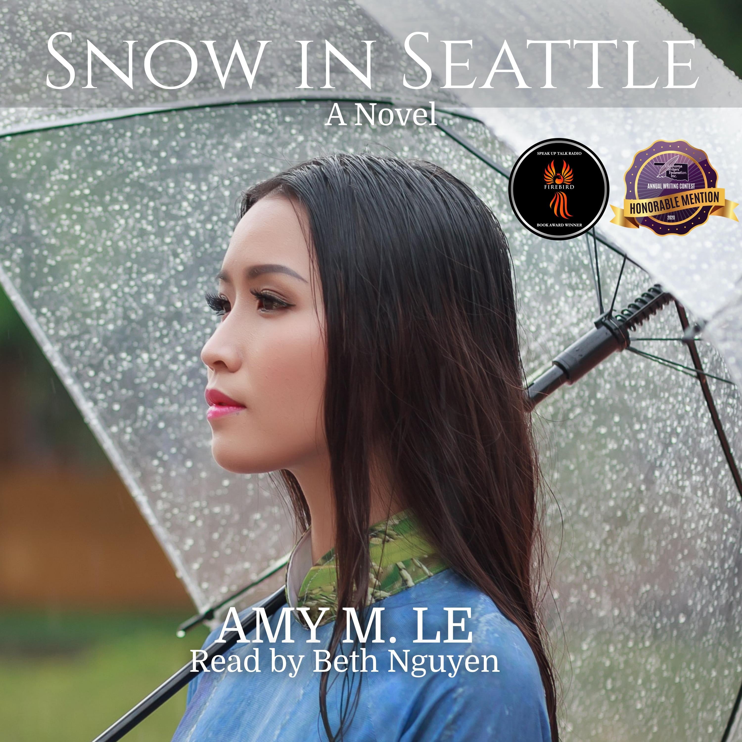 Snow in Seattle