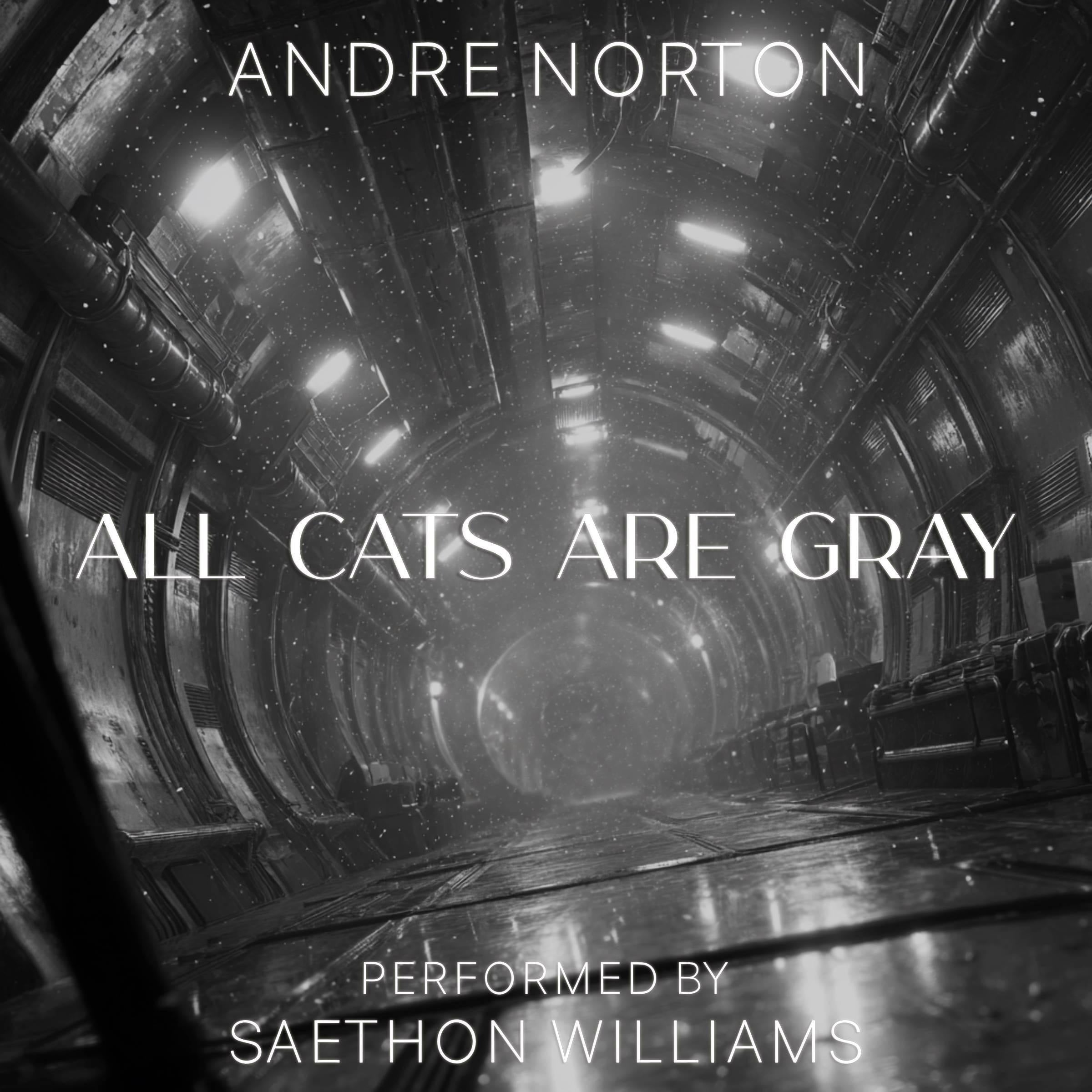 All Cats Are Gray