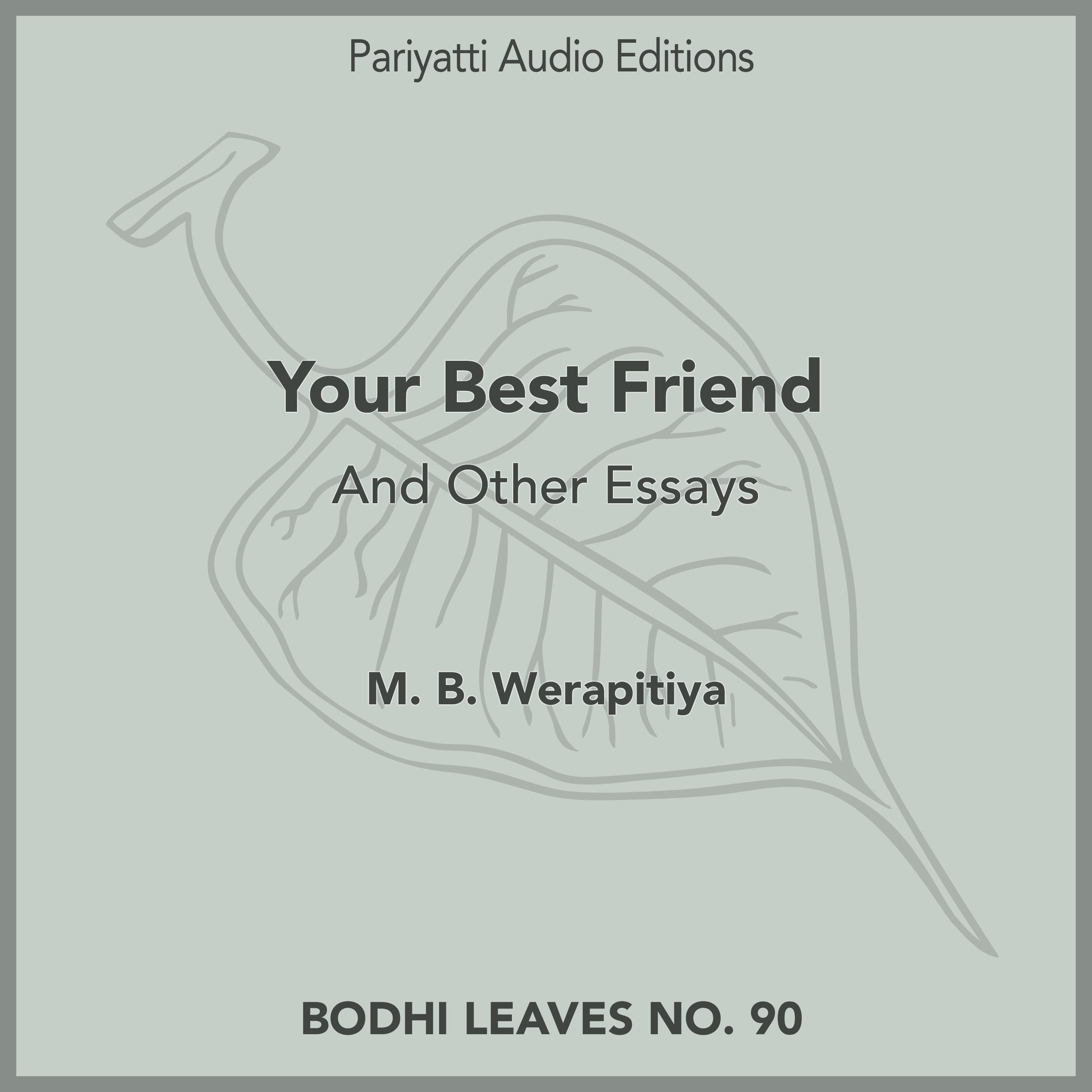 Your Best Friend
