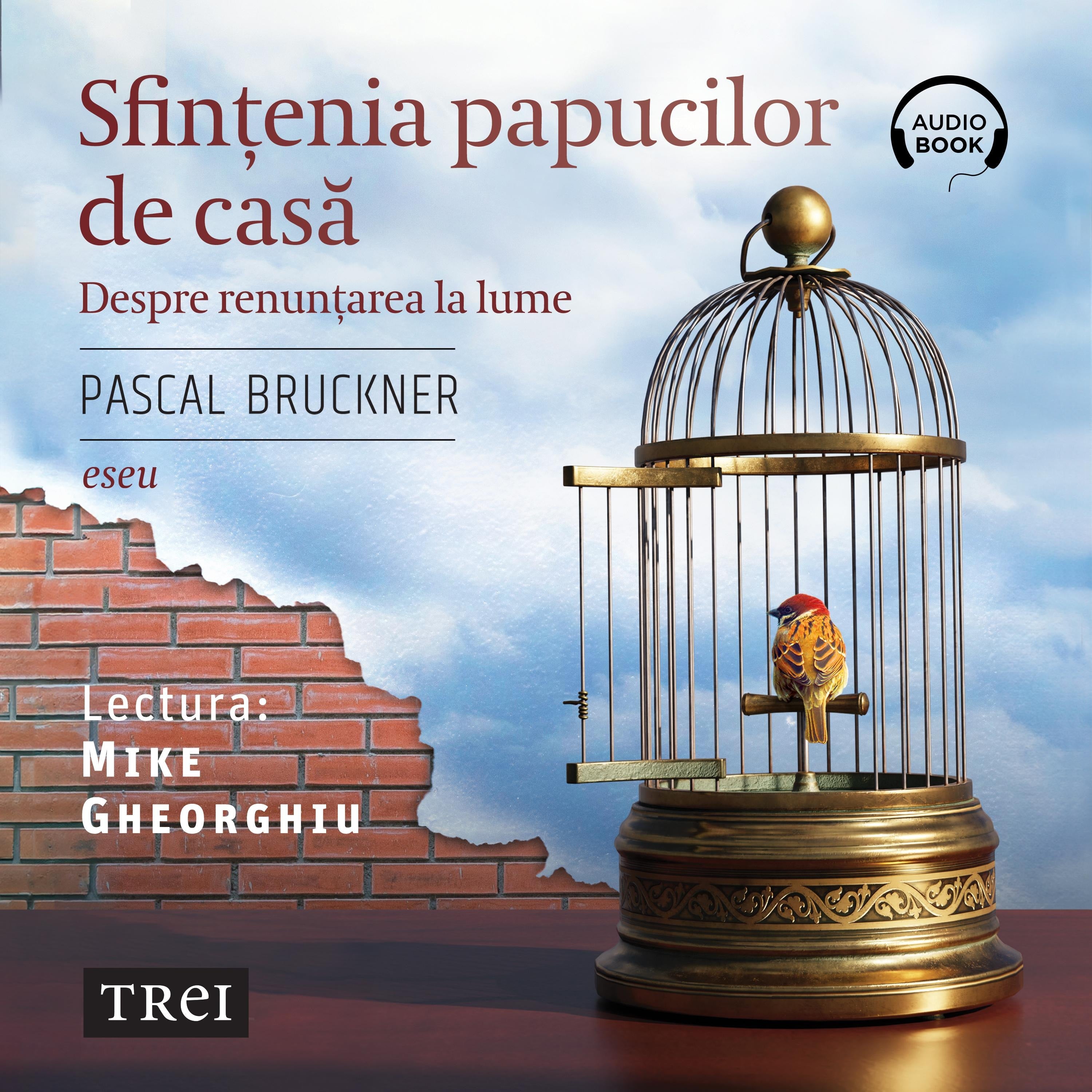 Sfințenia papucilor de casă