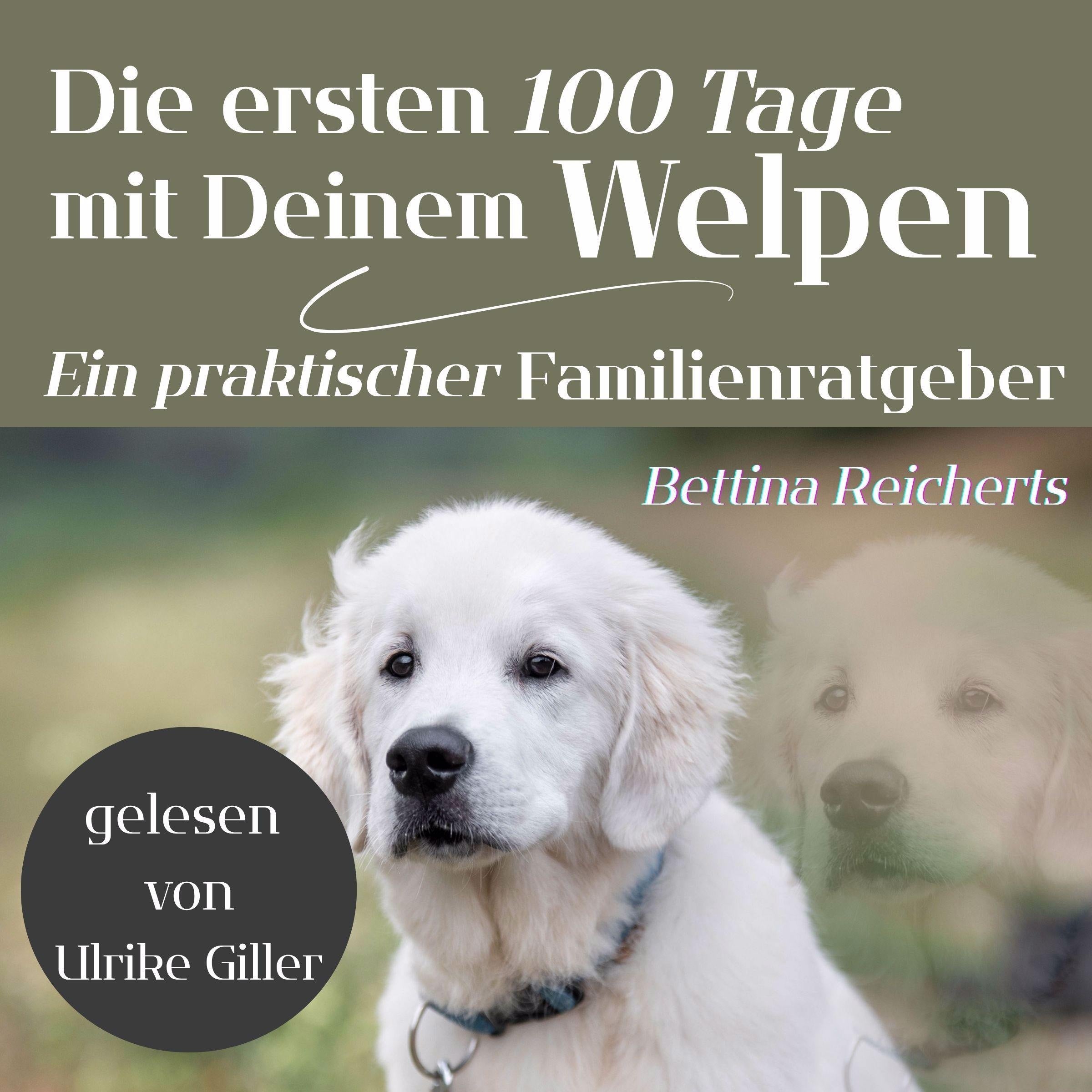 Die ersten 100 Tage mit Deinem Welpen