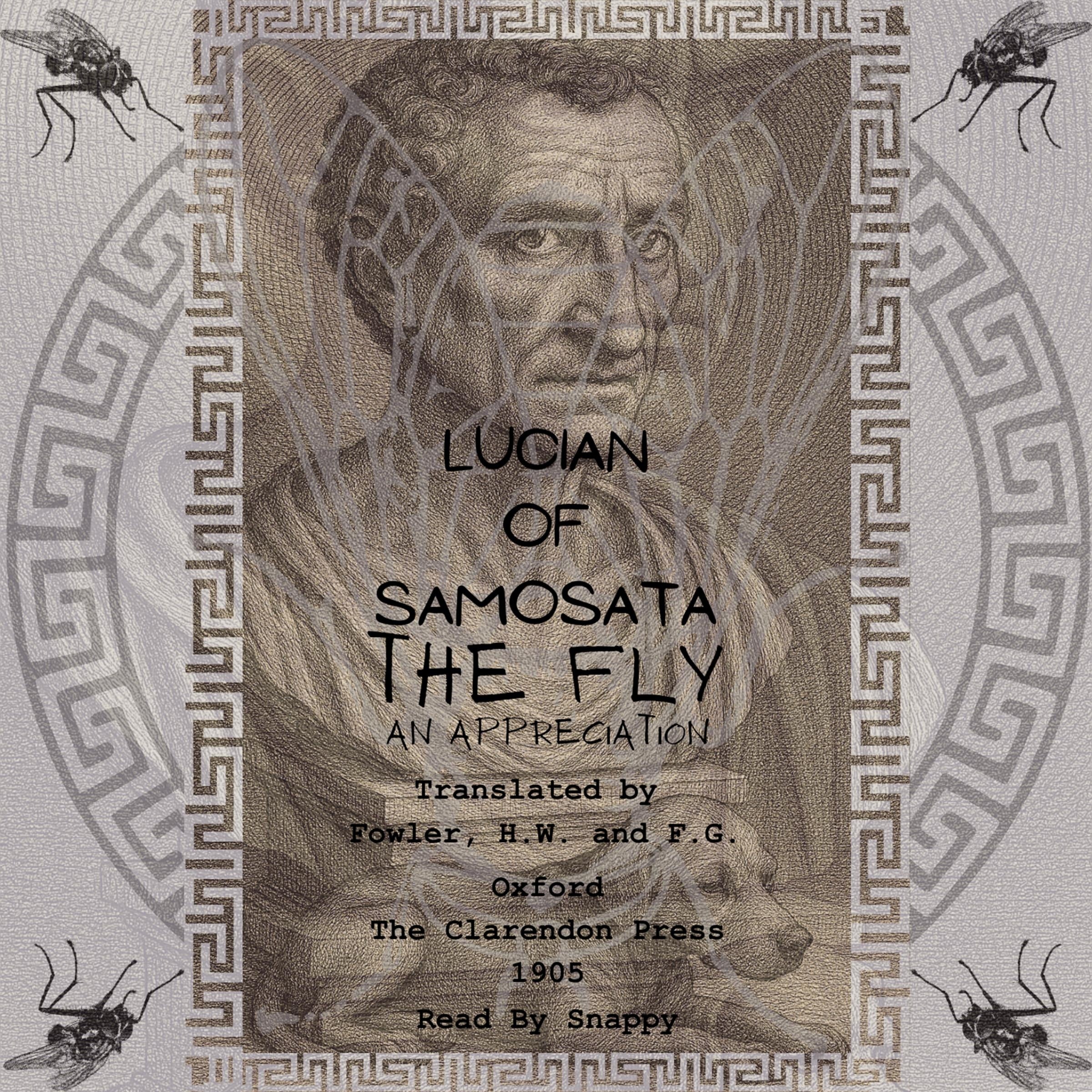 The Fly