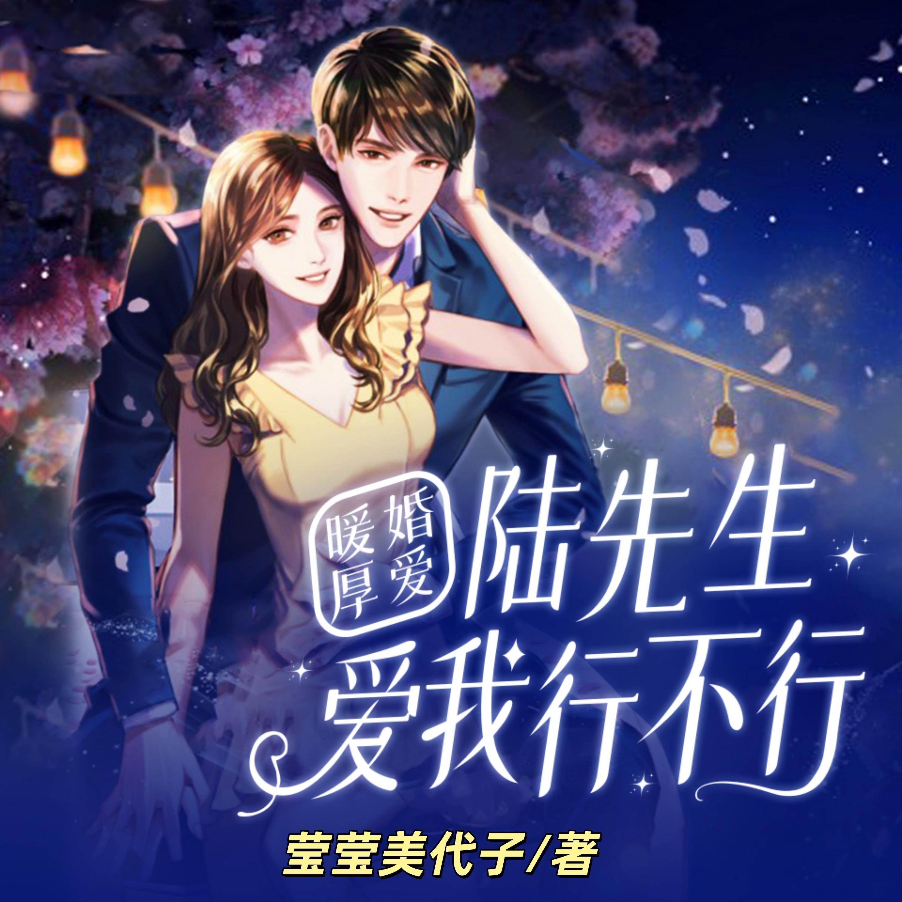 暖婚厚愛：陸先生，愛我行不行2