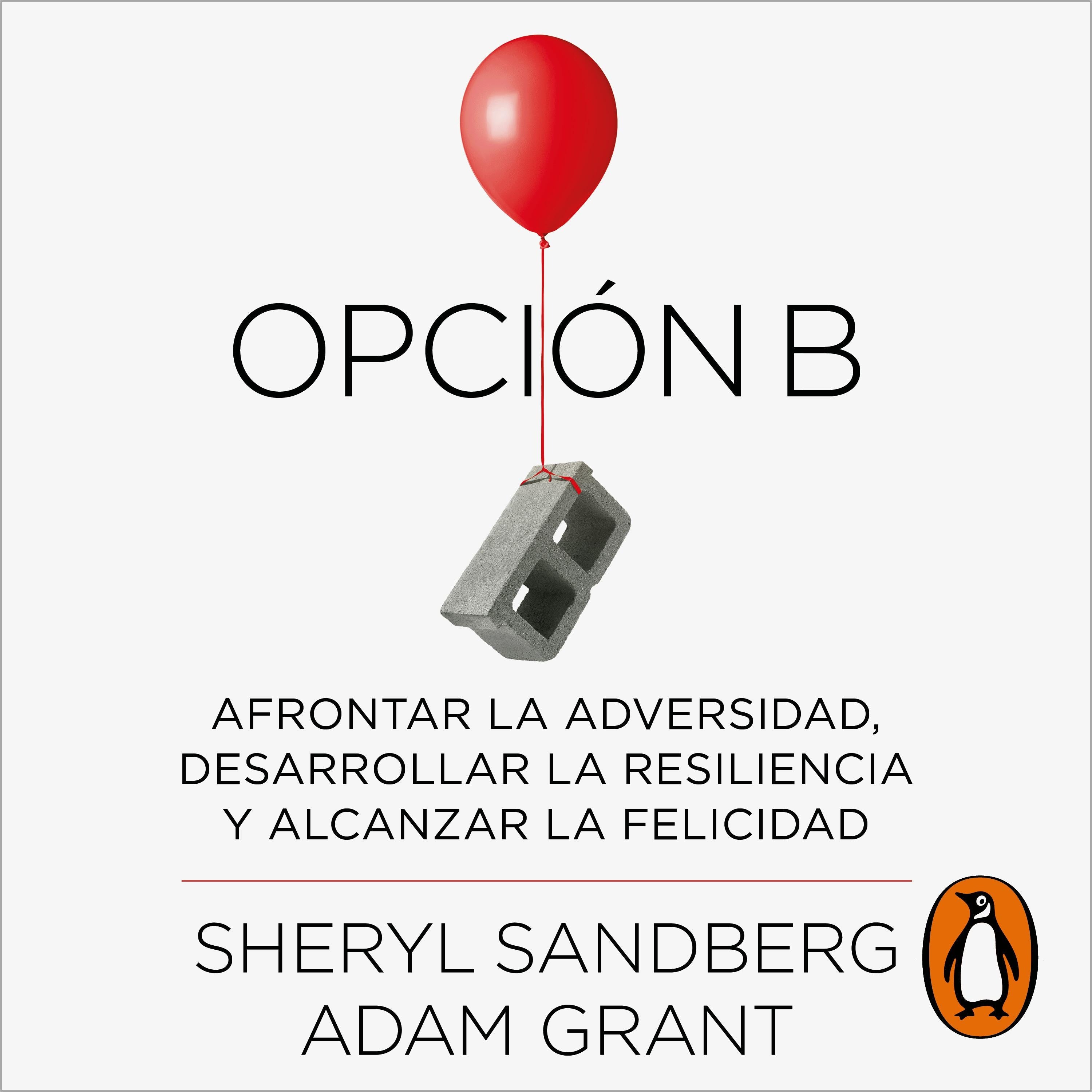 Opción B