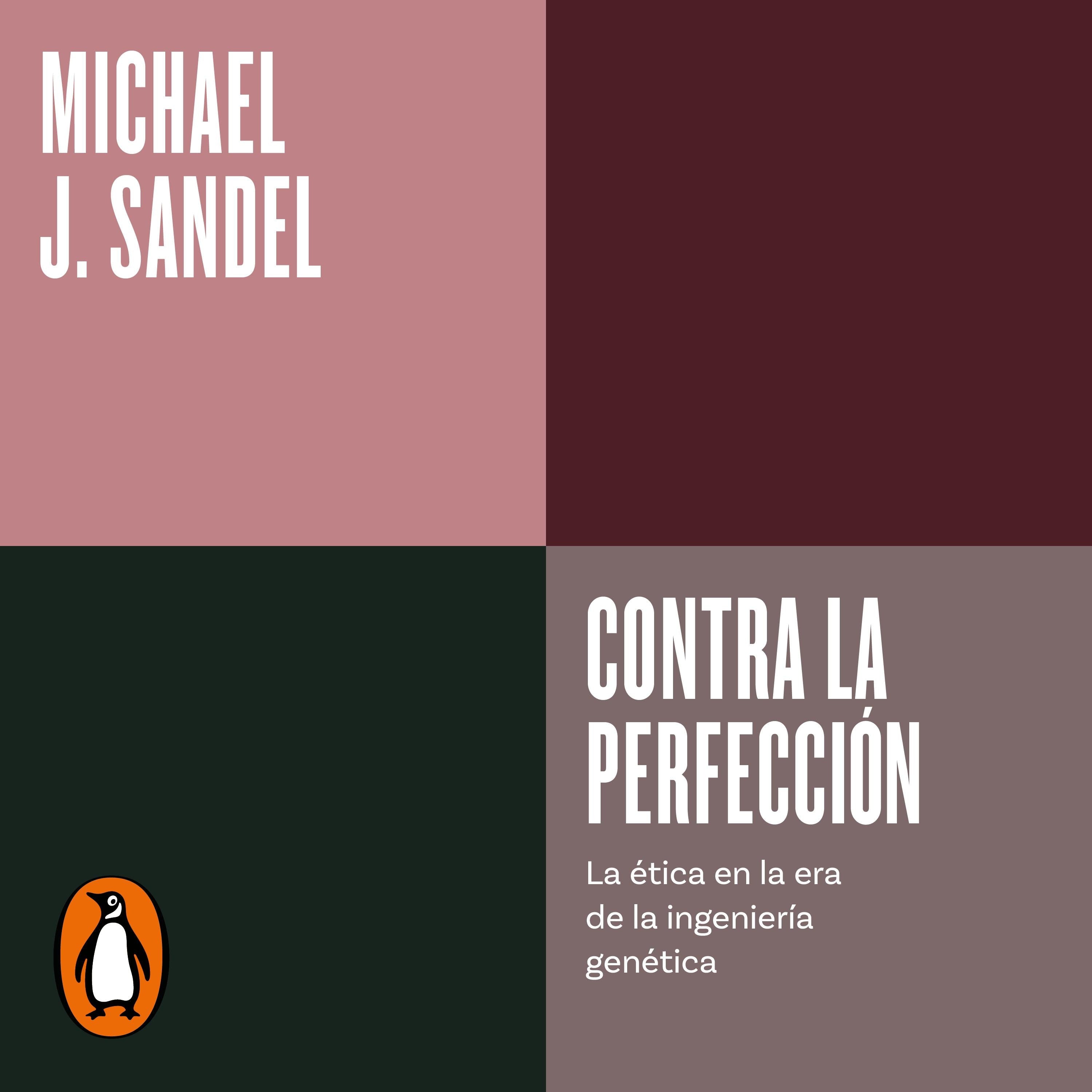 Contra la perfección (Serie ENDEBATE)
