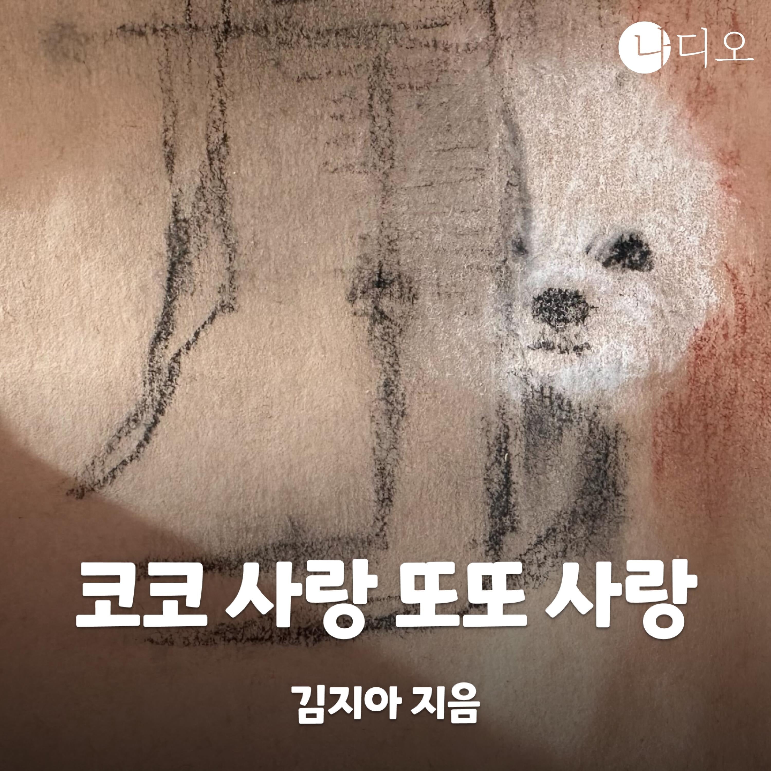코코 사랑 또또 사랑