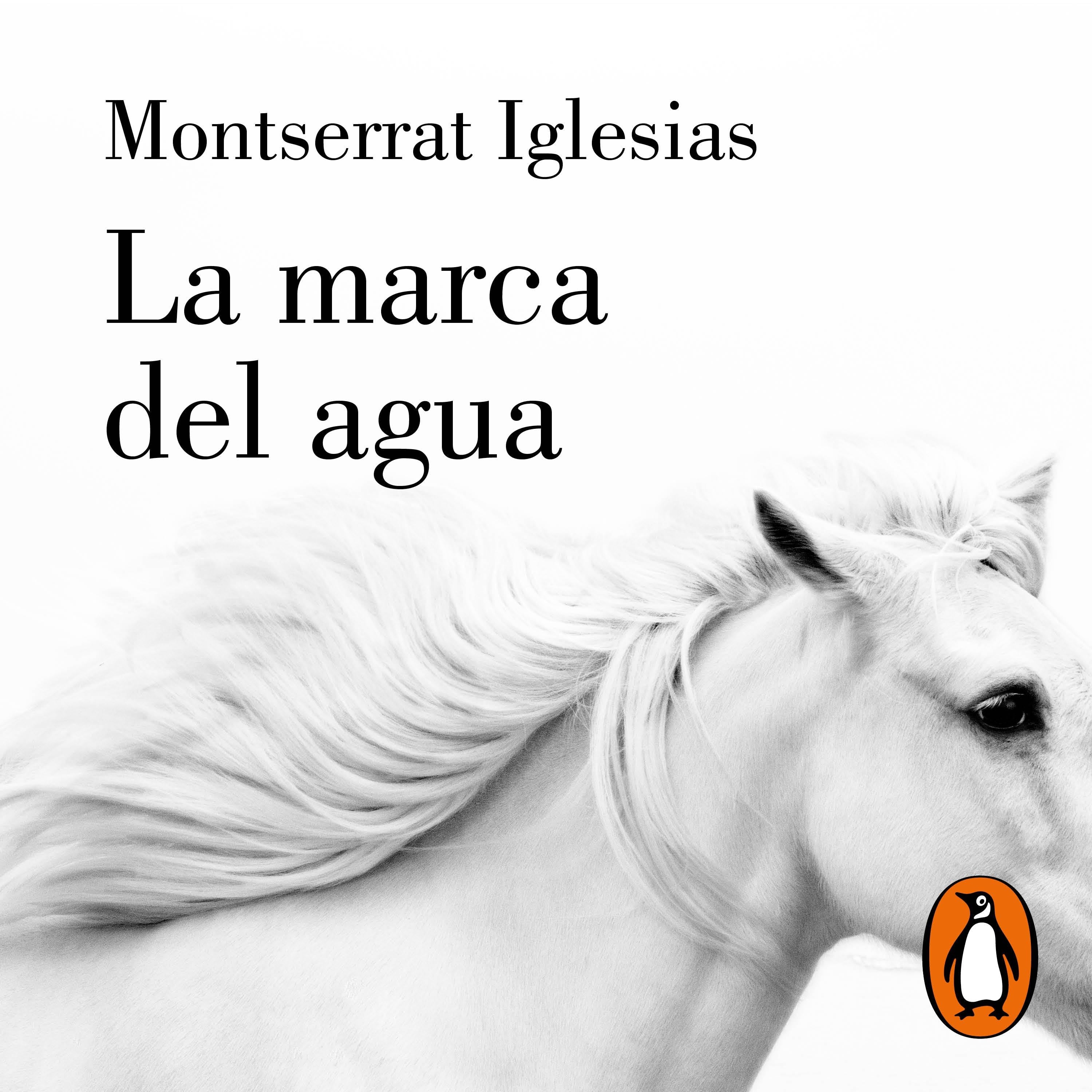 La marca del agua