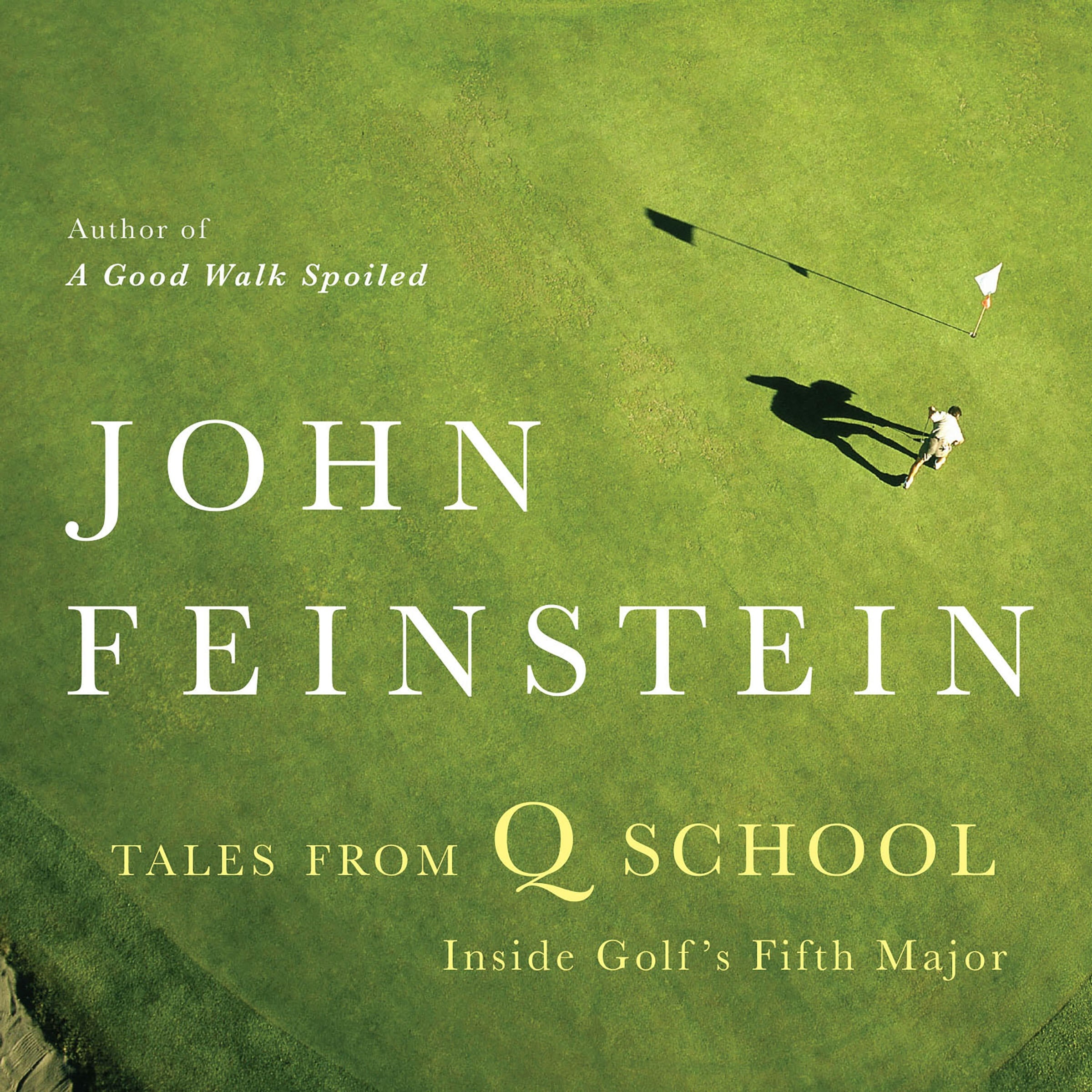 Tales from Q School