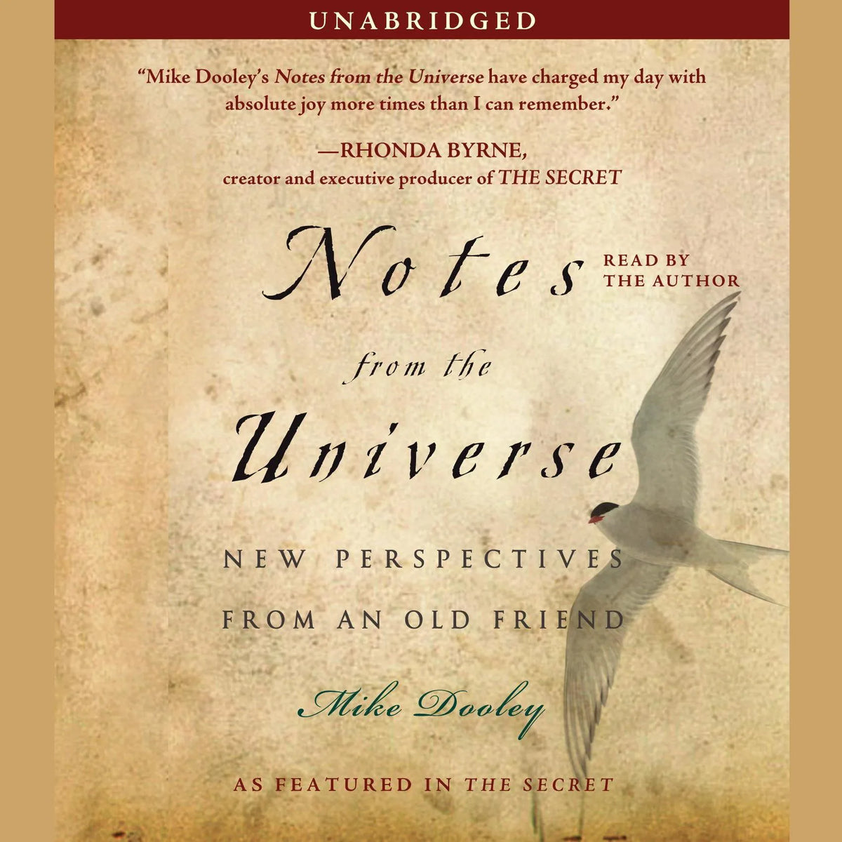 Notes from the Universe