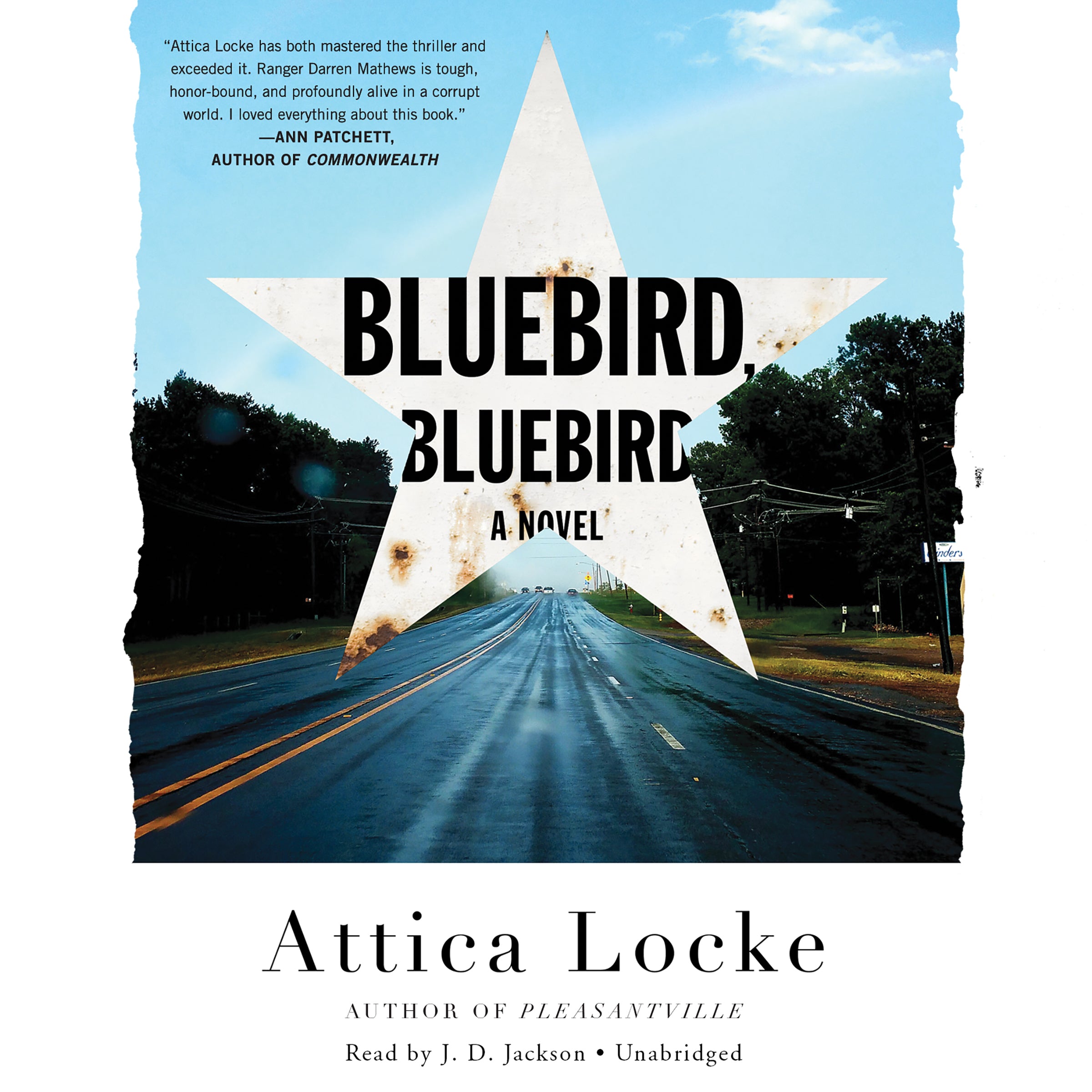 Bluebird, Bluebird