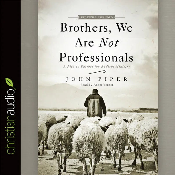 Brothers, We Are Not Professionals