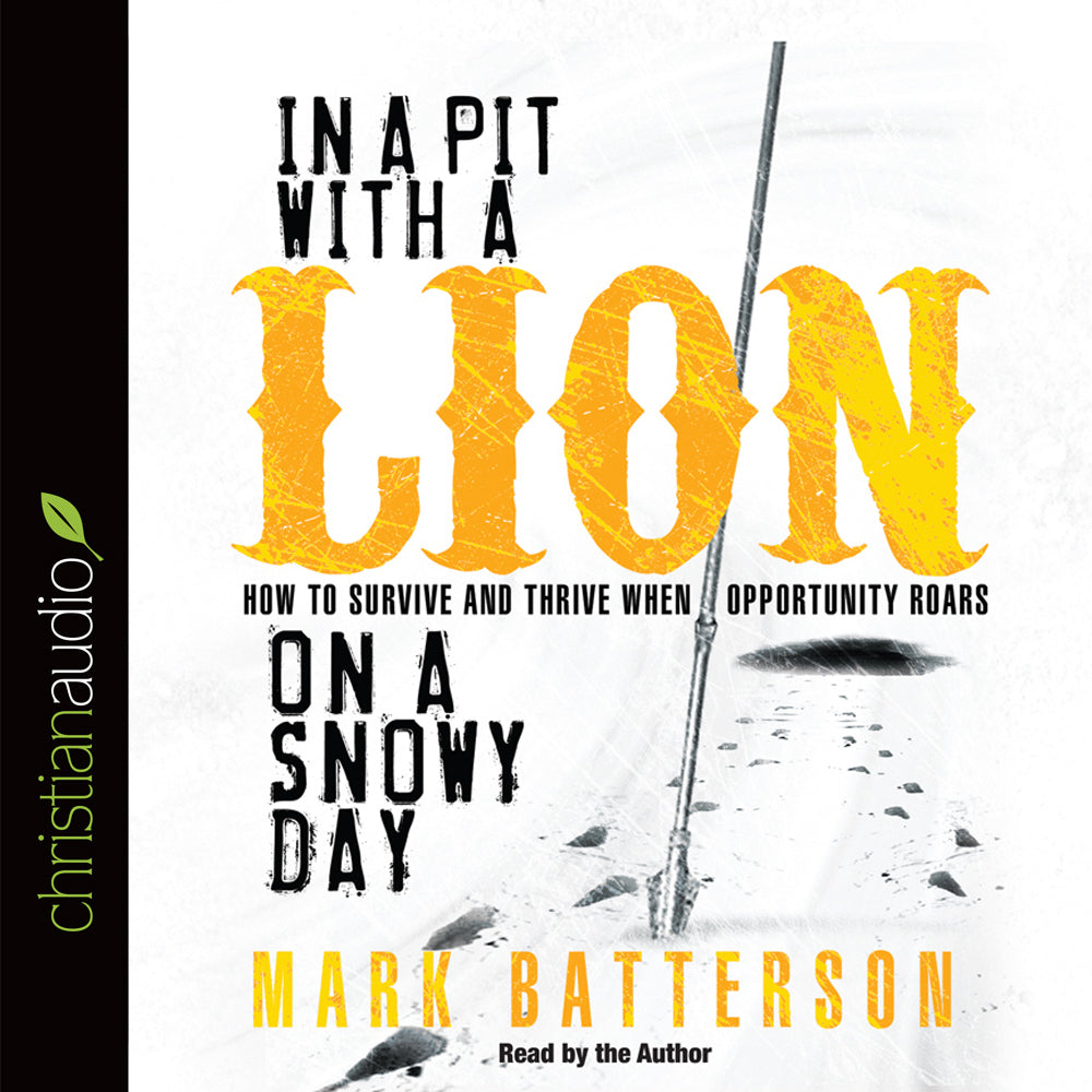 In a Pit With a Lion On a Snowy Day