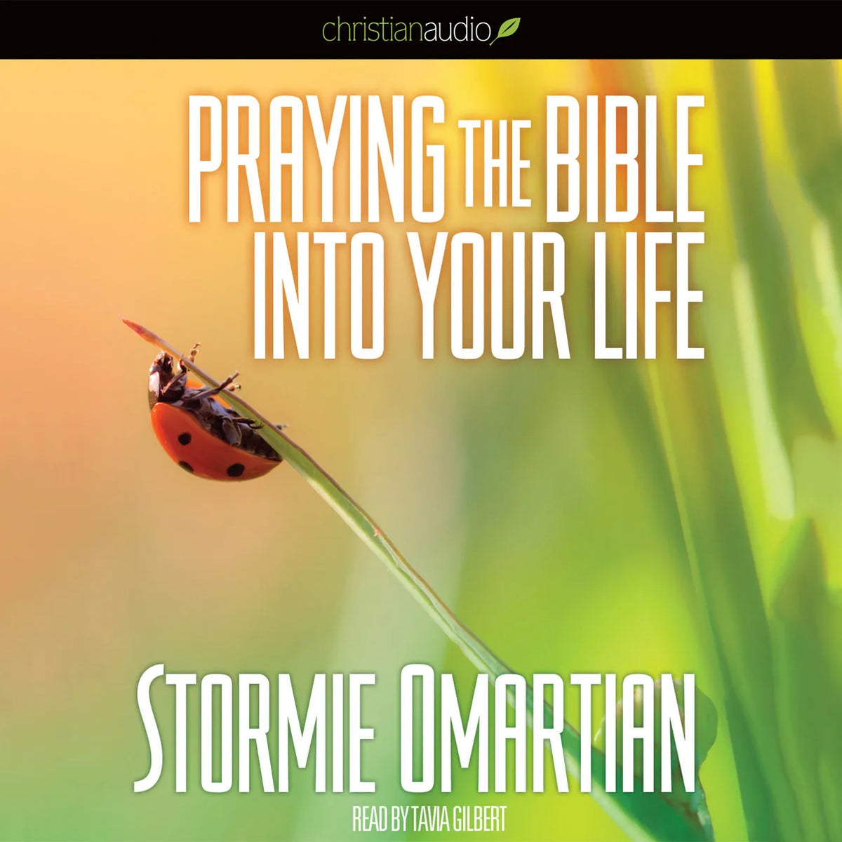 Praying the Bible into Your Life