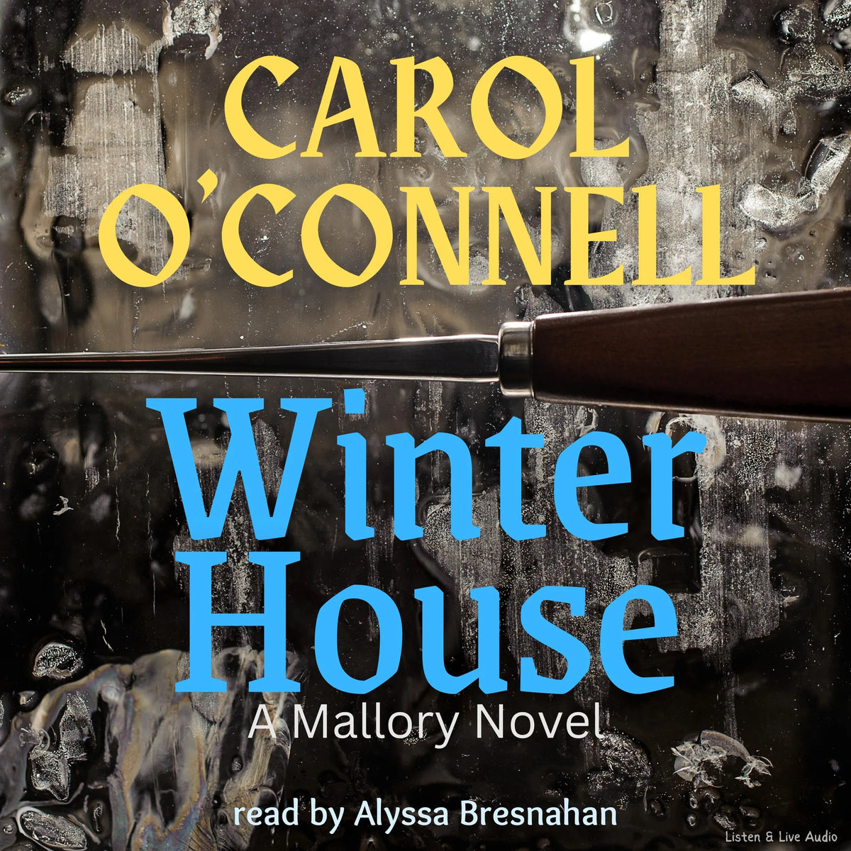 Winter House