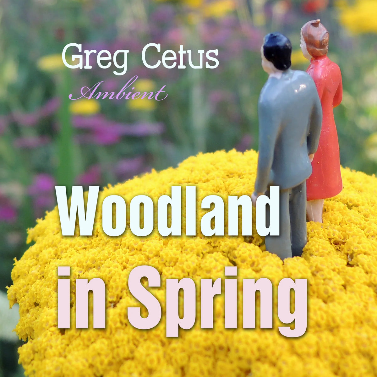Woodland in Spring: Ambient Soundscape for Mindfulness