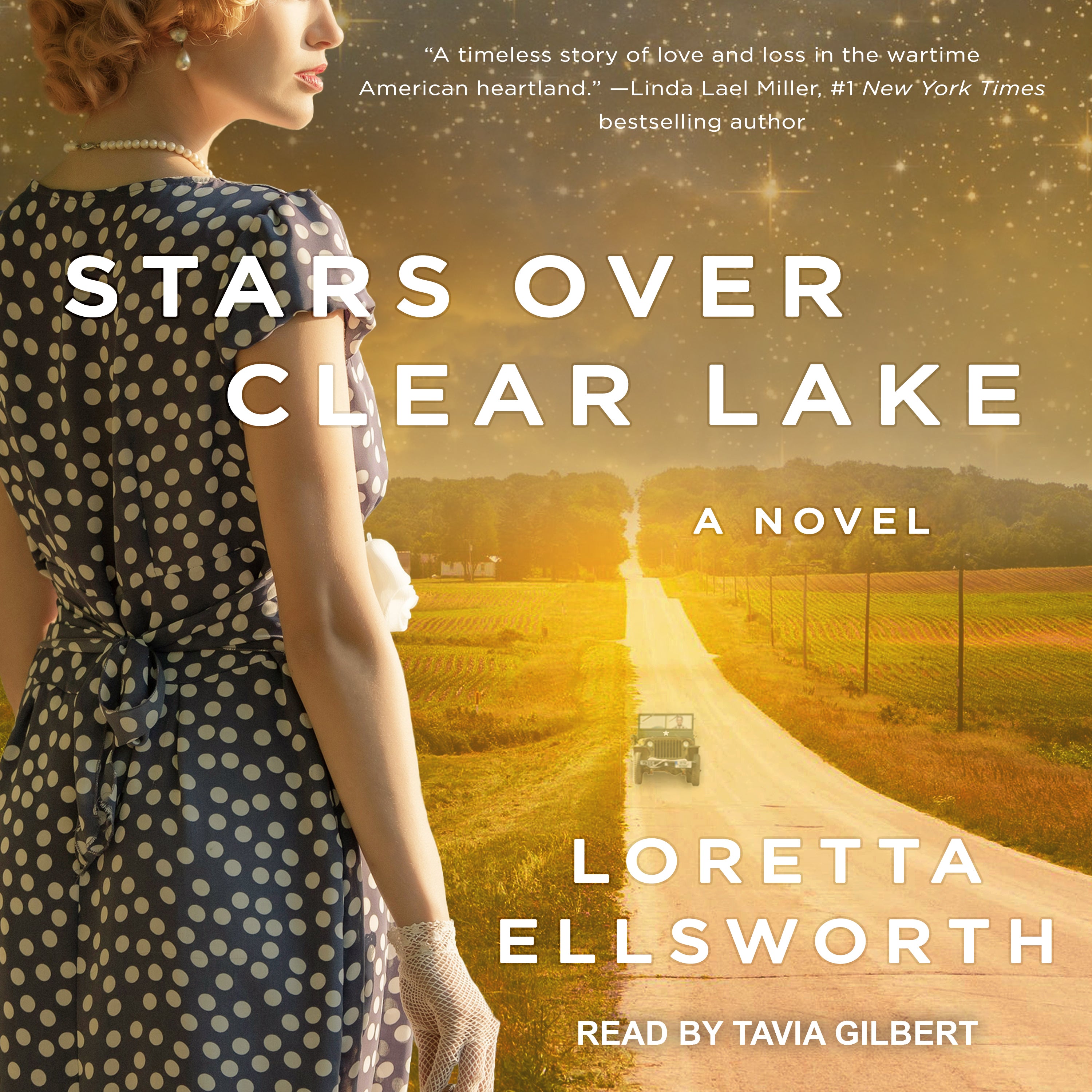 Stars Over Clear Lake