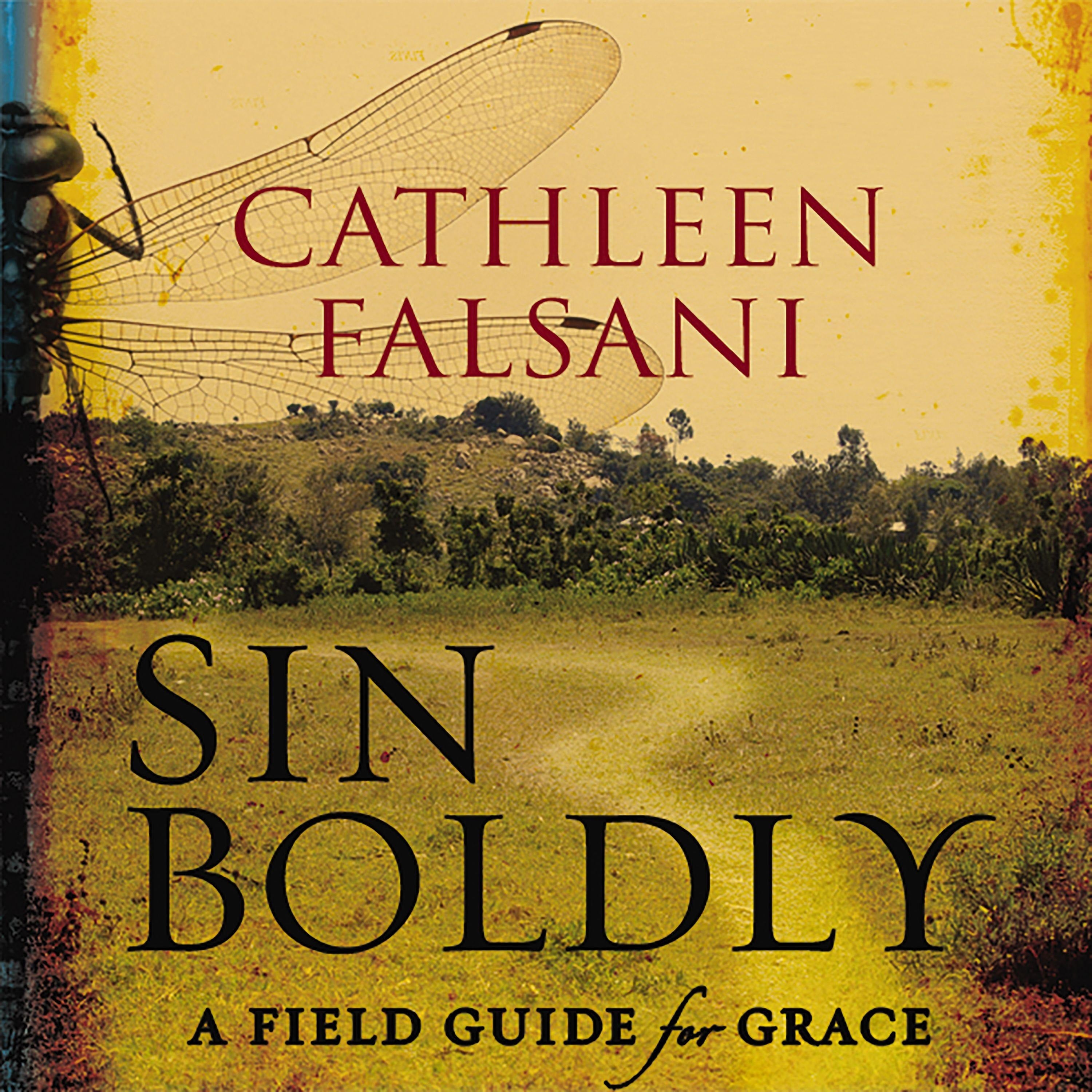 Sin Boldly