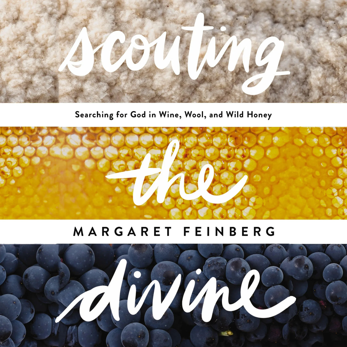 Scouting the Divine