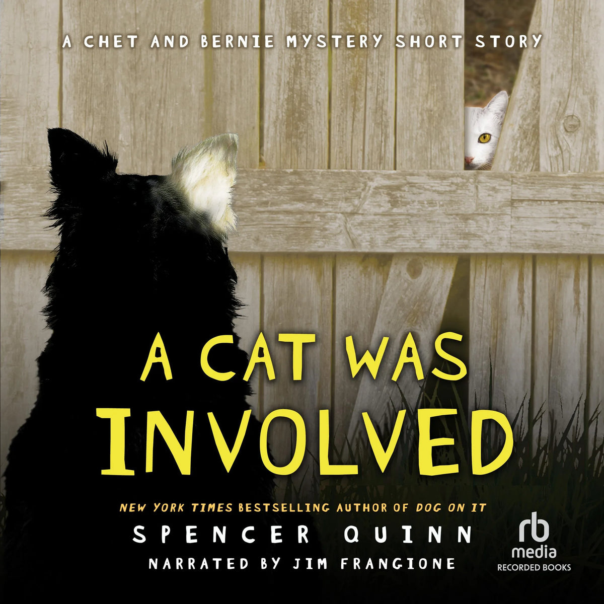 A Cat Was Involved