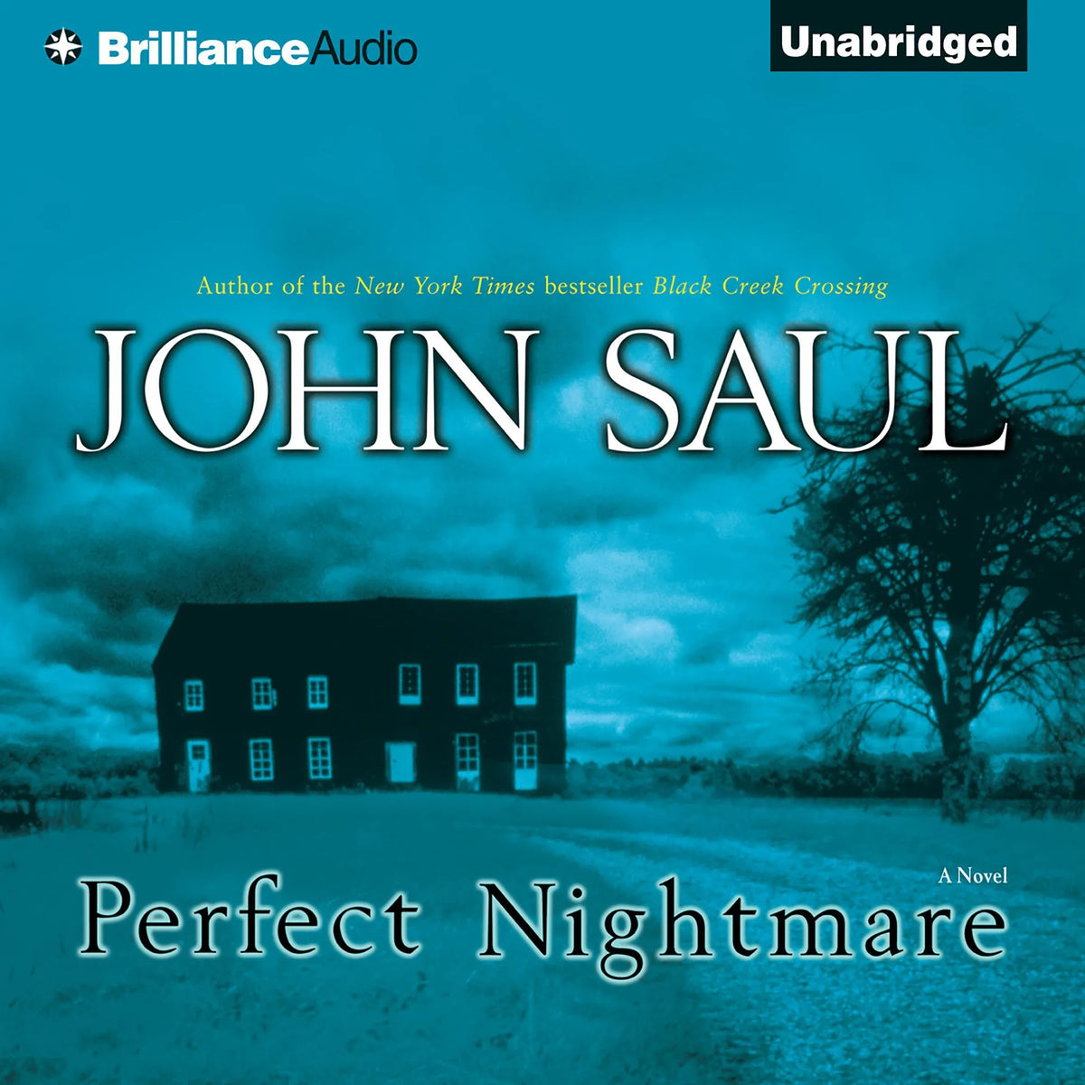 Perfect Nightmare