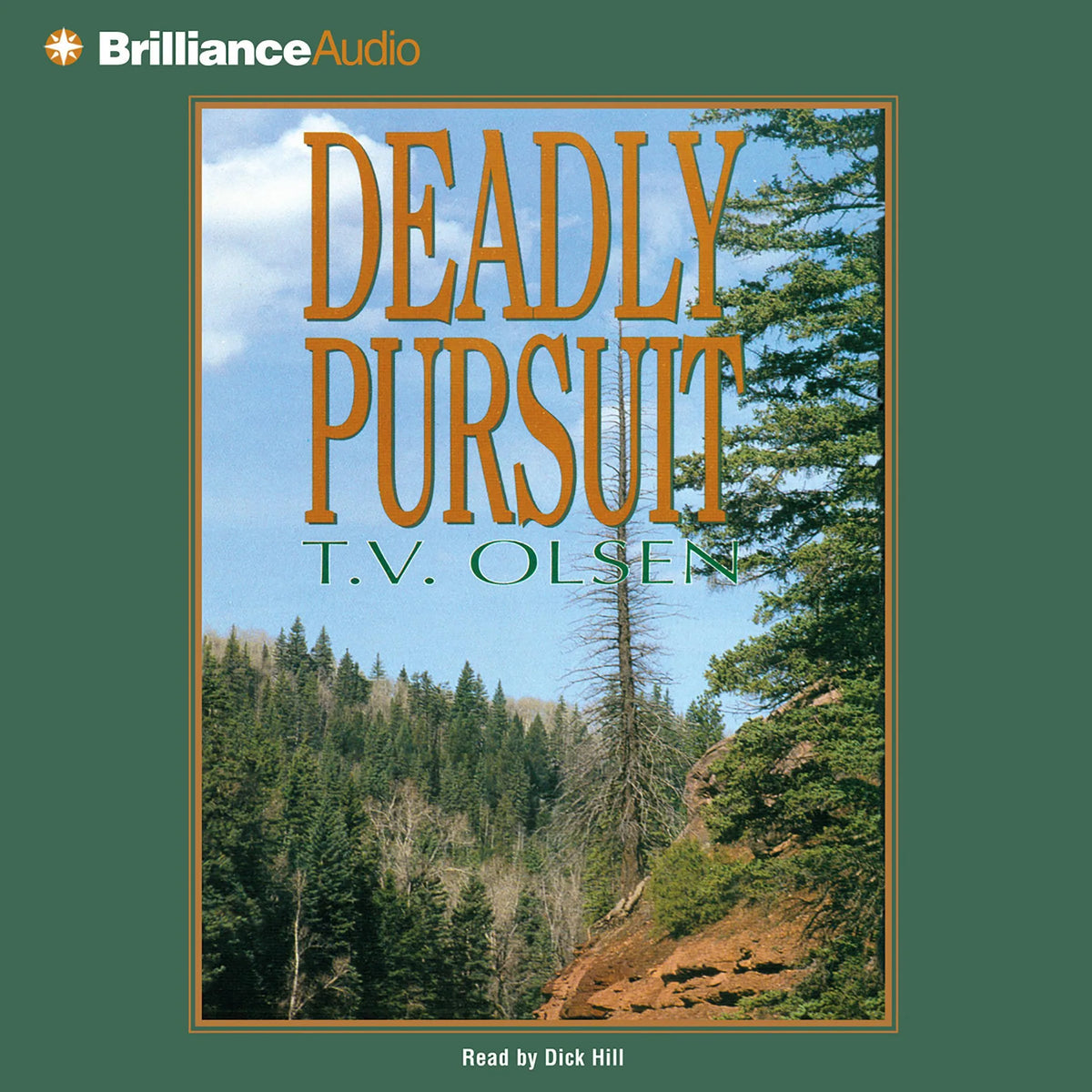 Deadly Pursuit