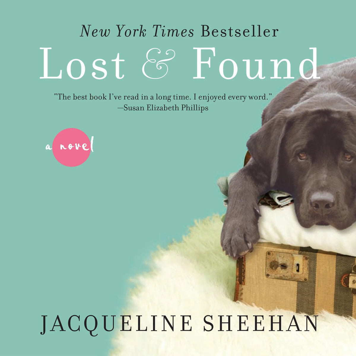 Lost & Found