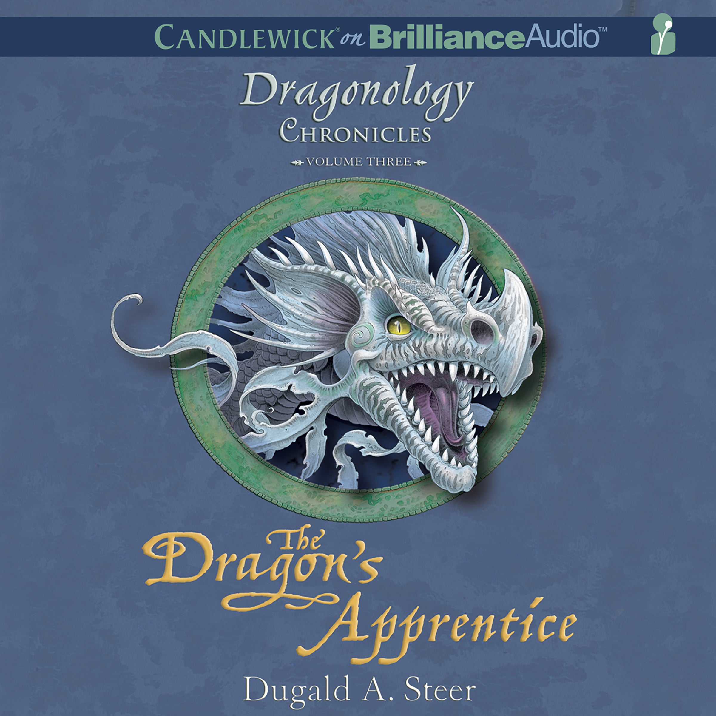 The Dragon's Apprentice