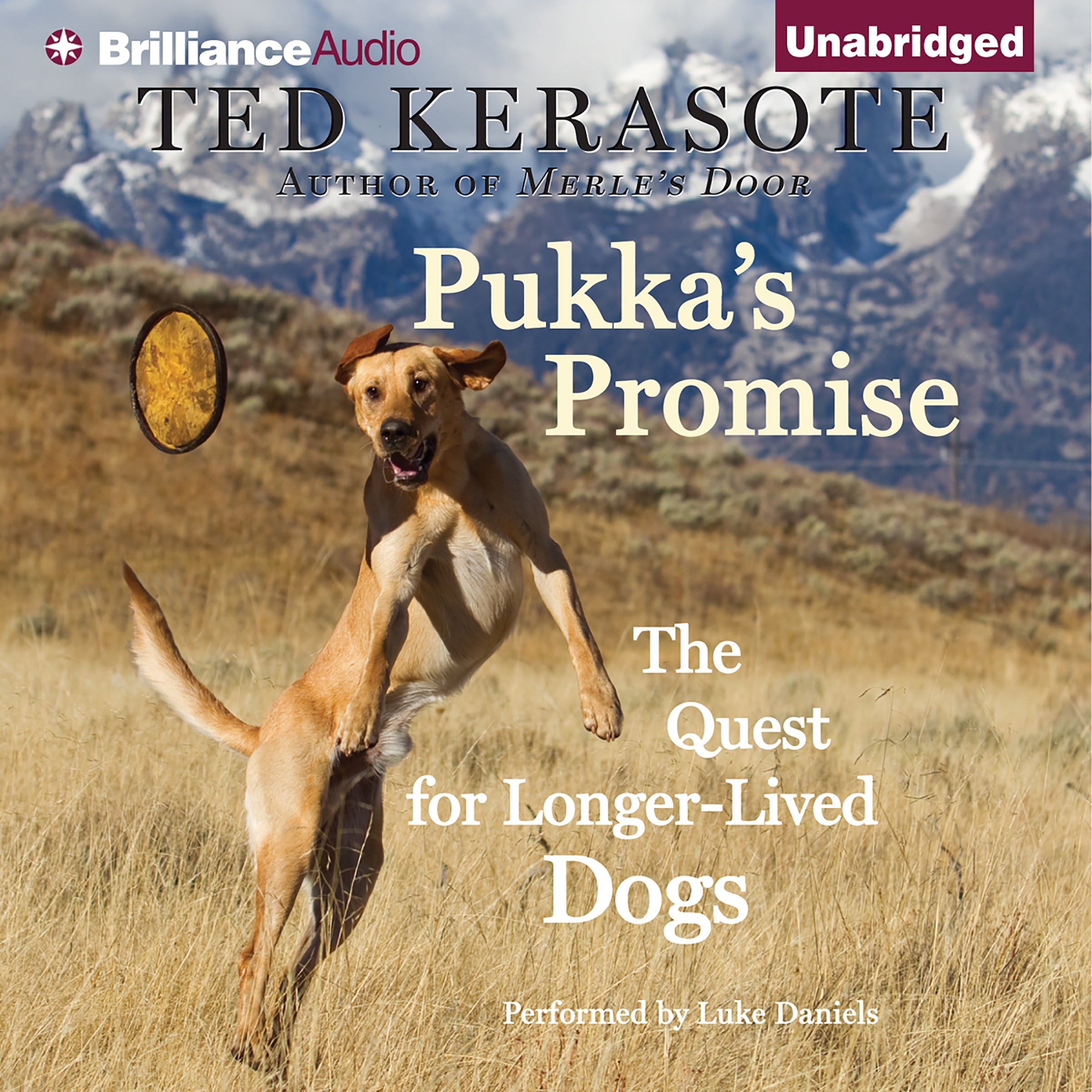 Pukka's Promise