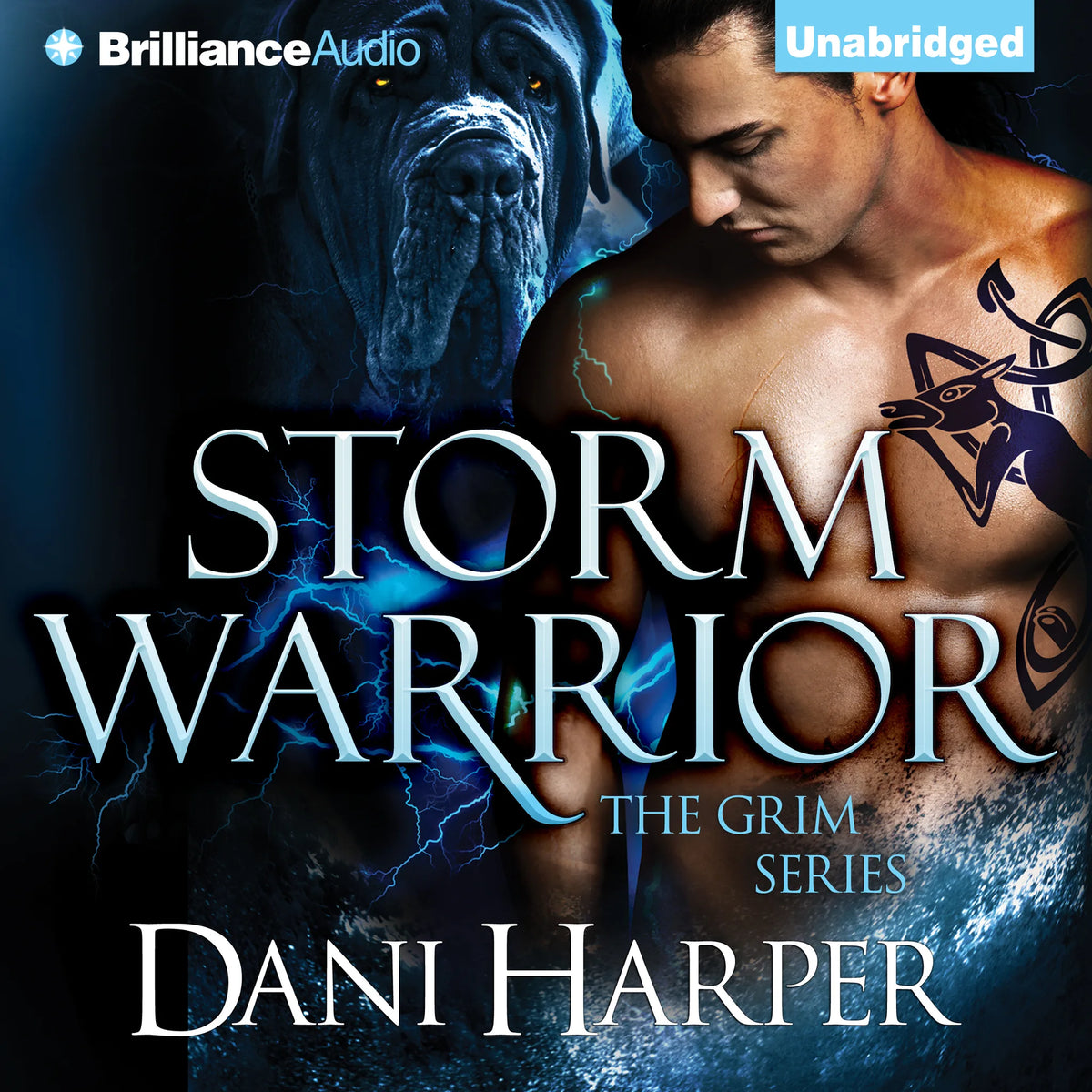 Storm Warrior