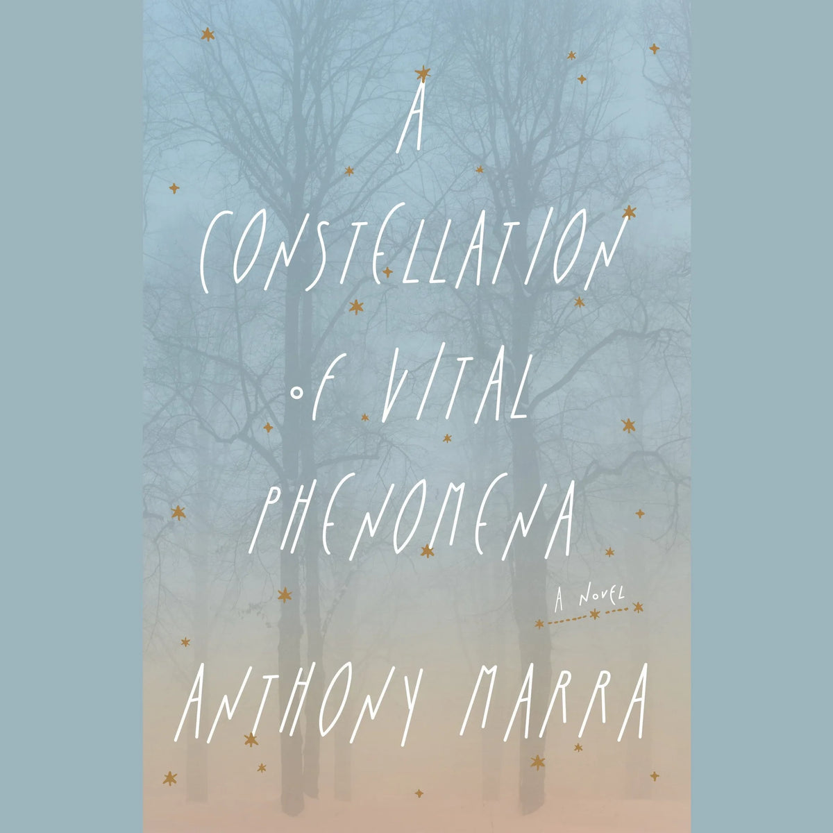 A Constellation of Vital Phenomena