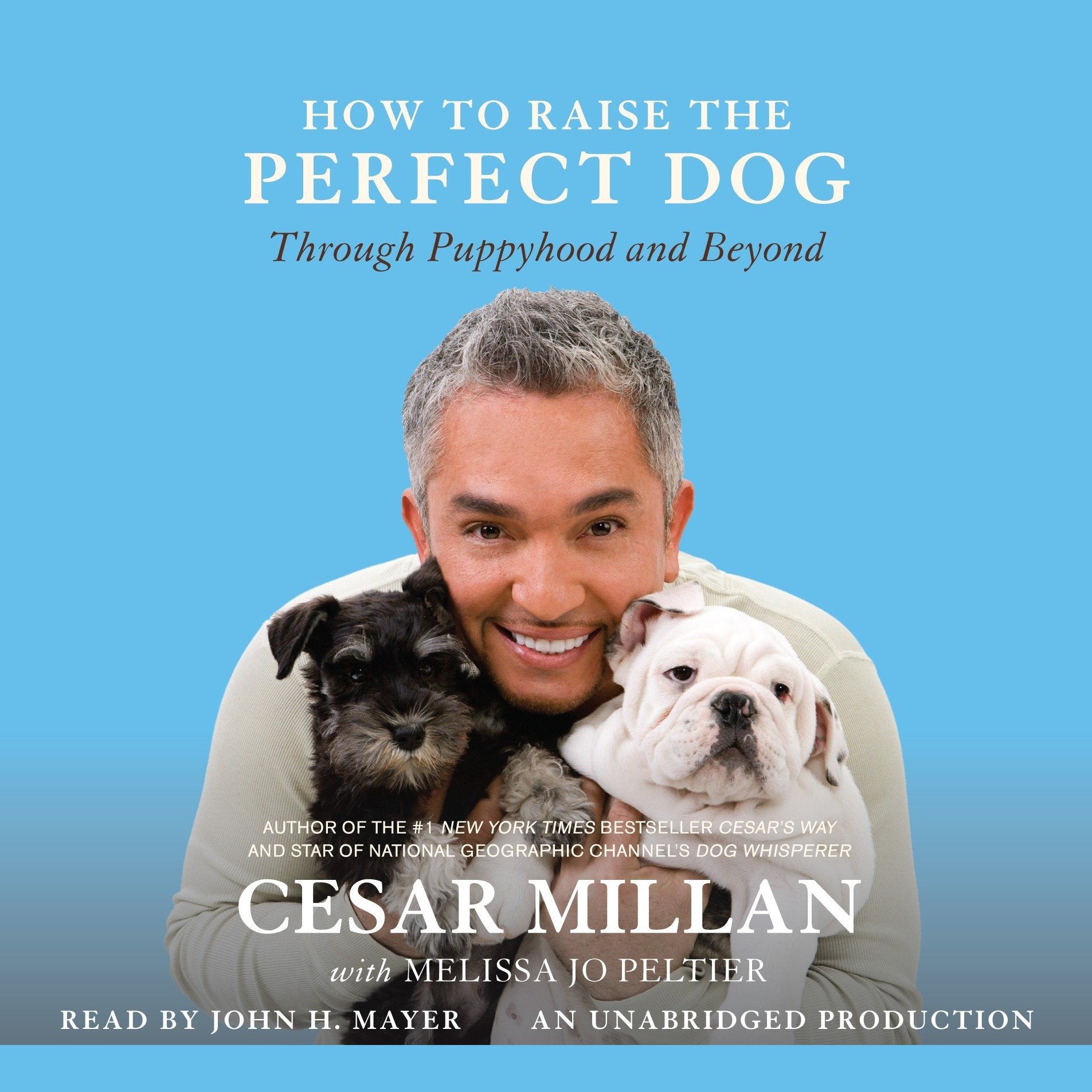 How to Raise the Perfect Dog