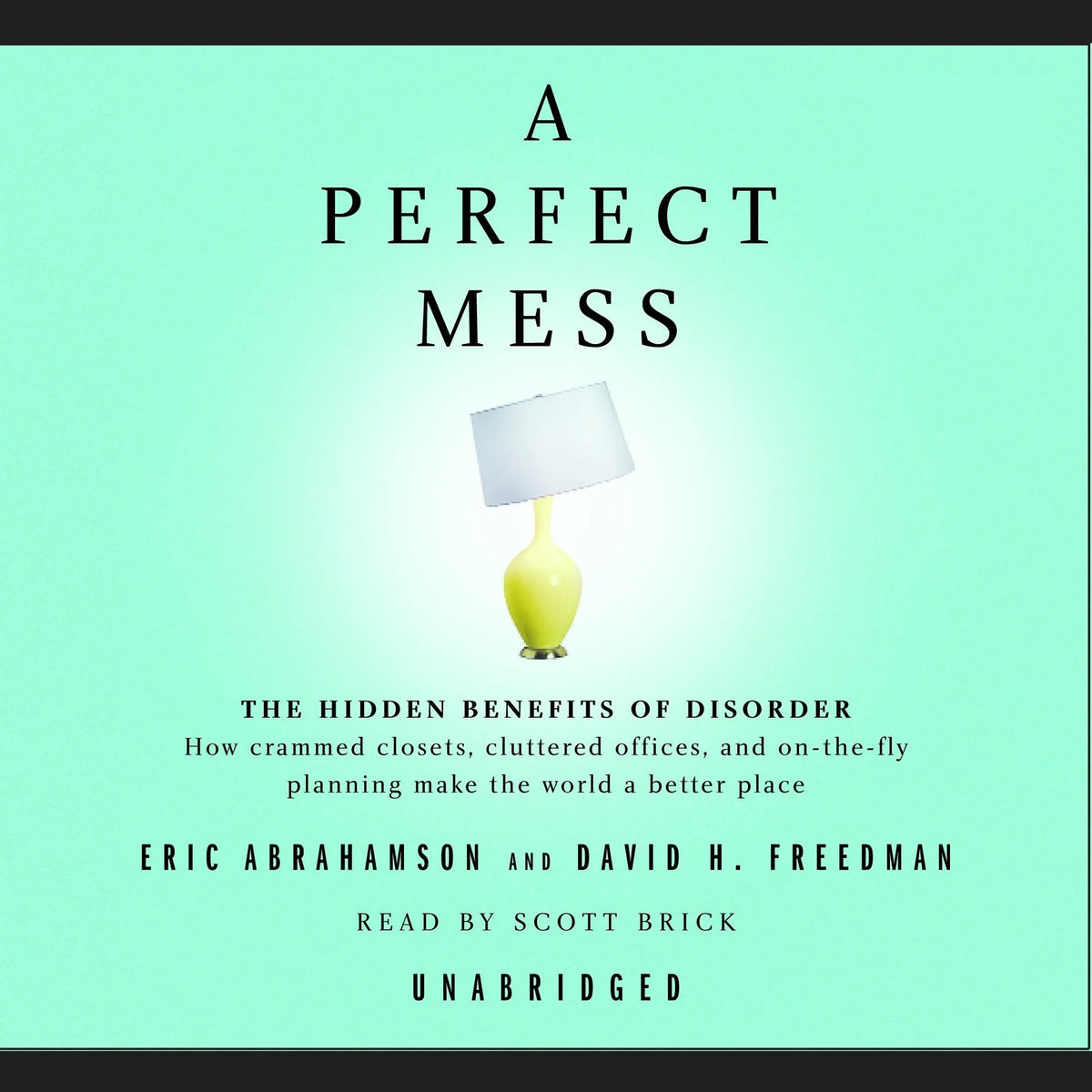 A Perfect Mess