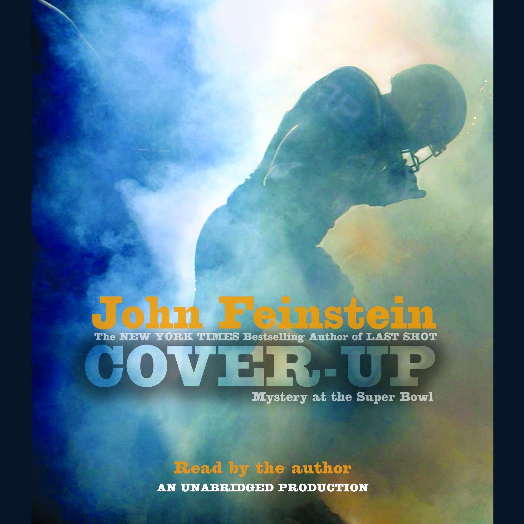 Cover-up: Mystery at the Super Bowl