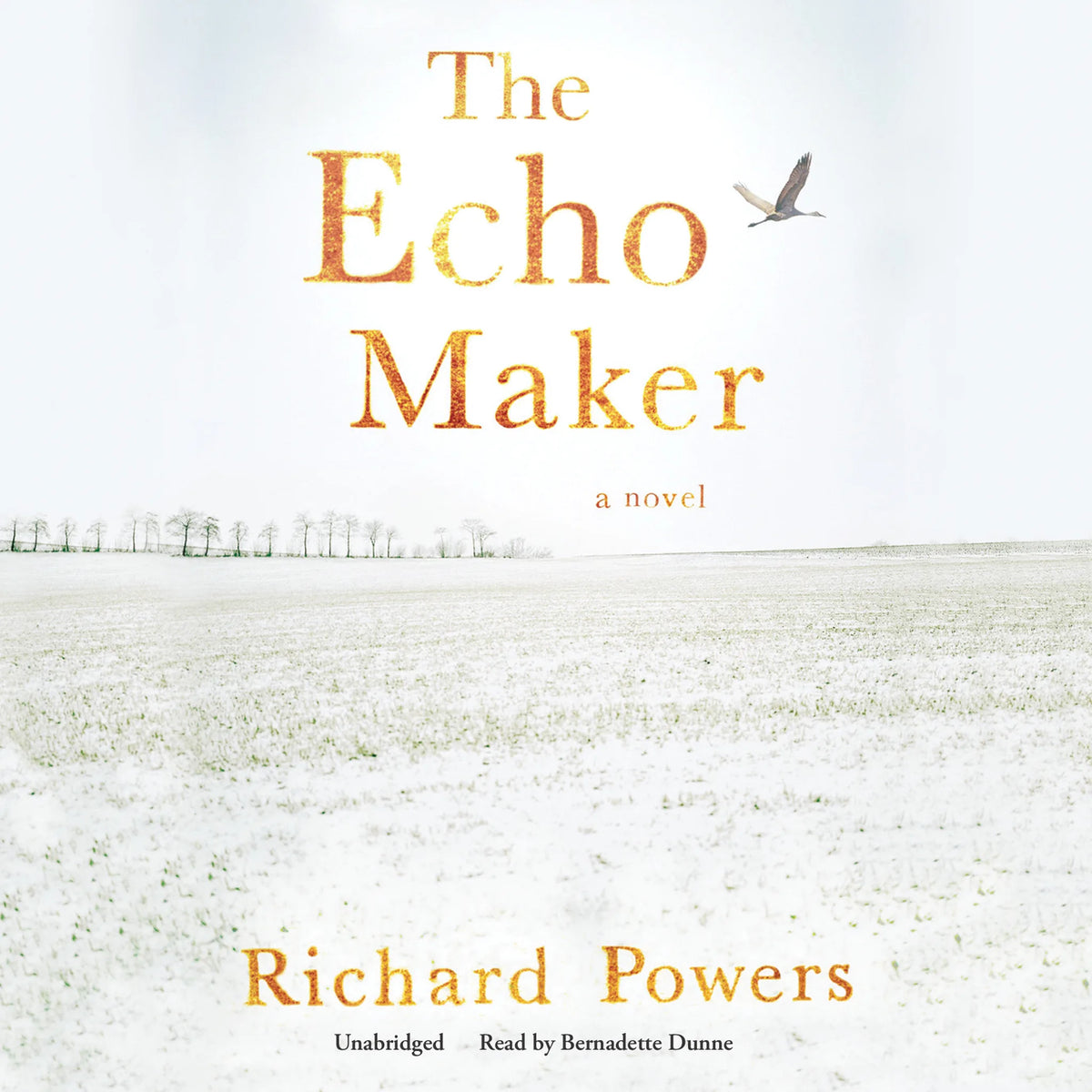 The Echo Maker