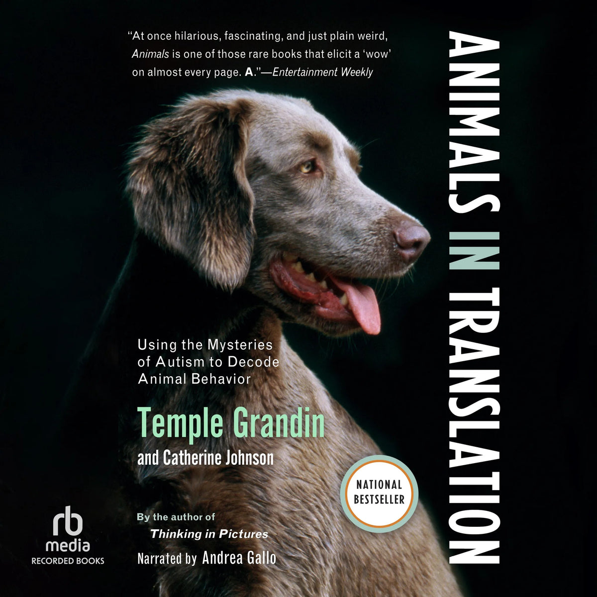 Animals in Translation