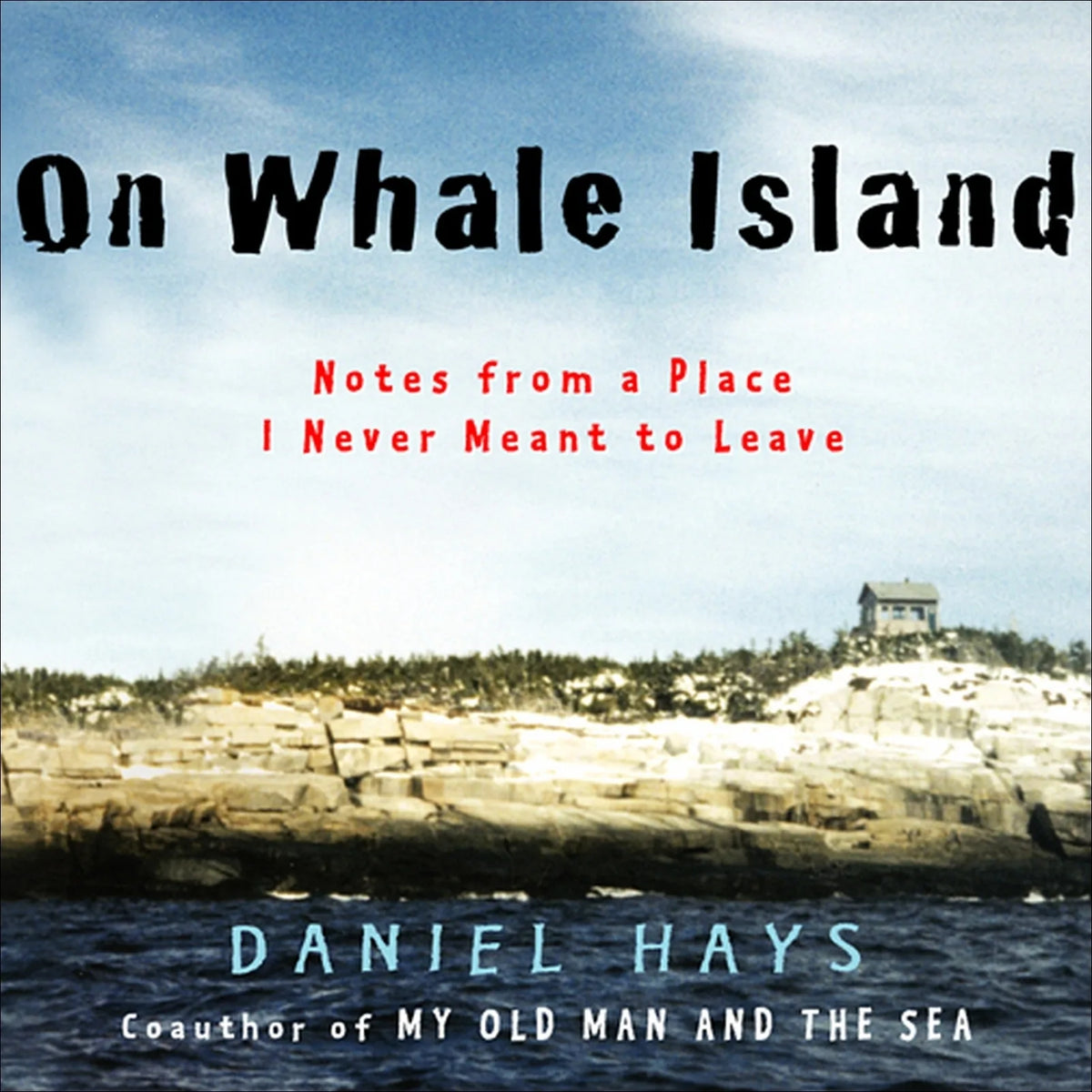 On Whale Island