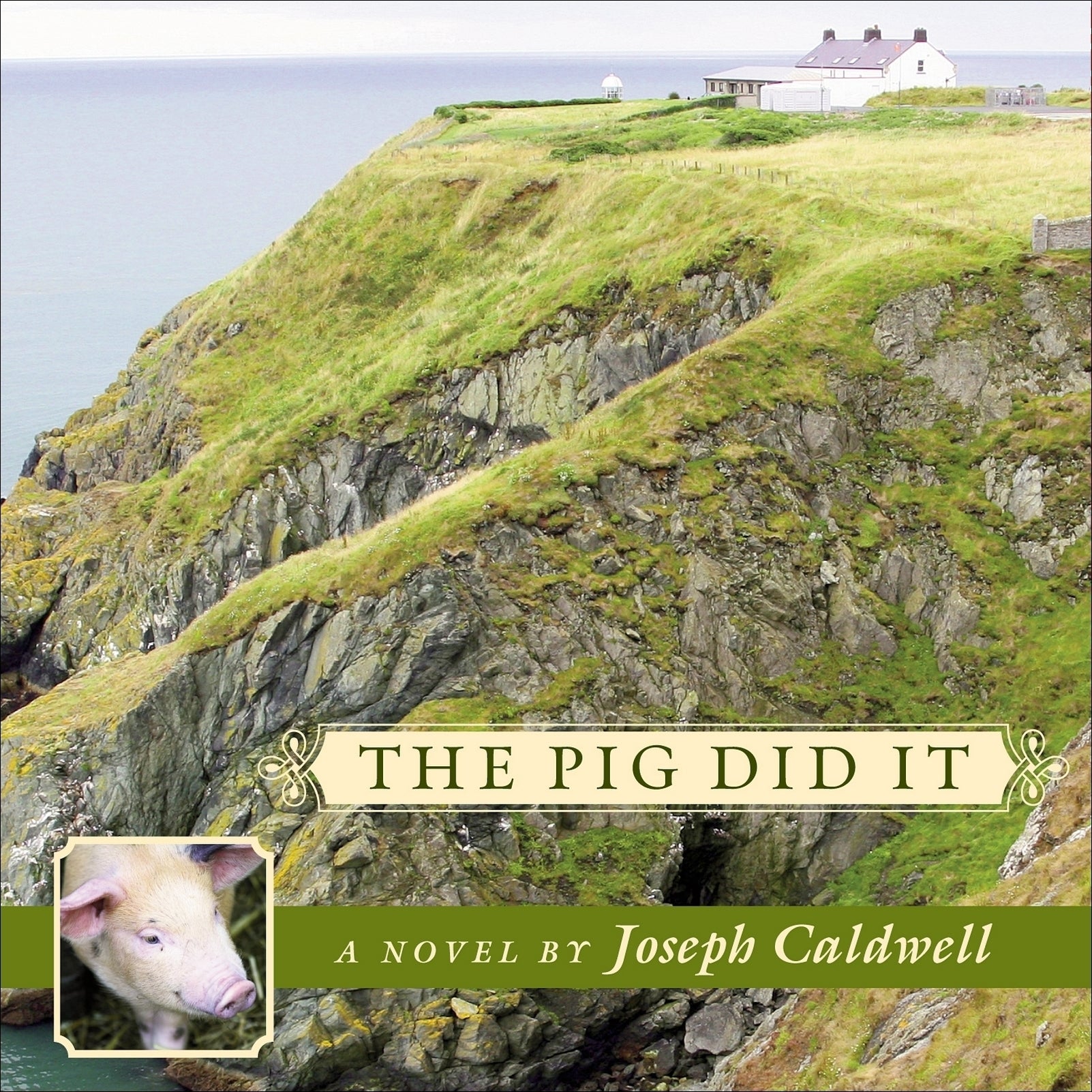 The Pig Did It