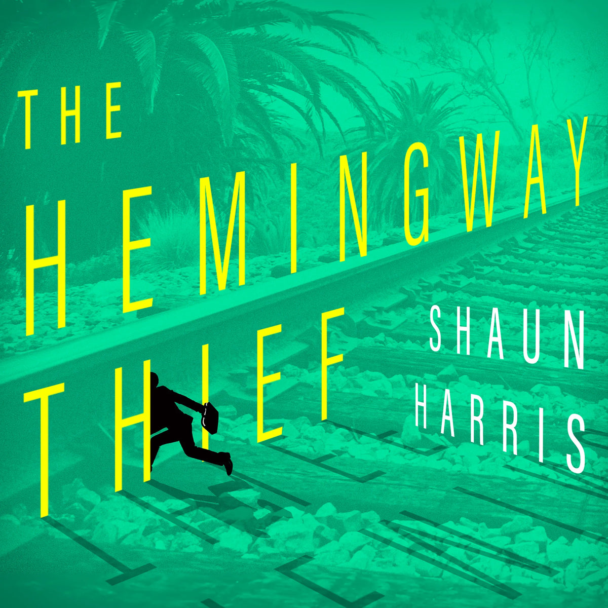 The Hemingway Thief