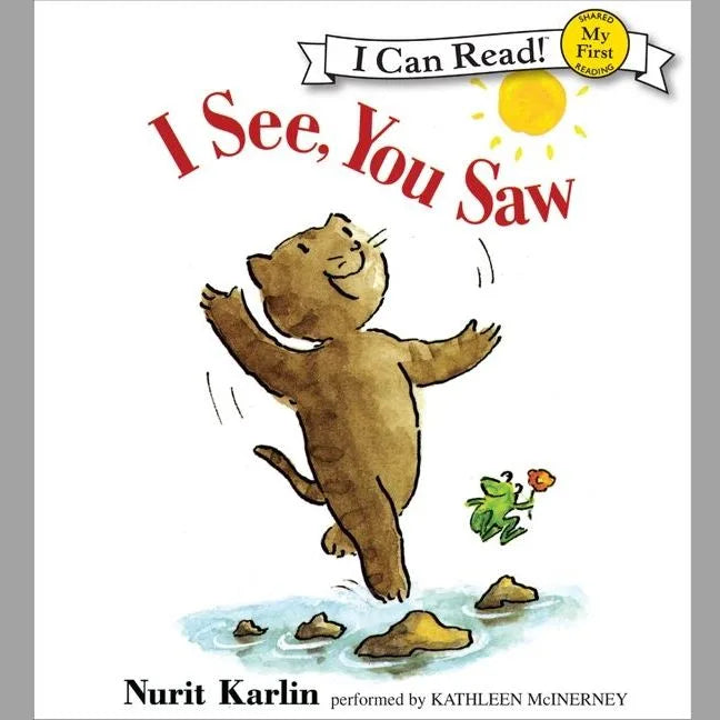 I See, You Saw