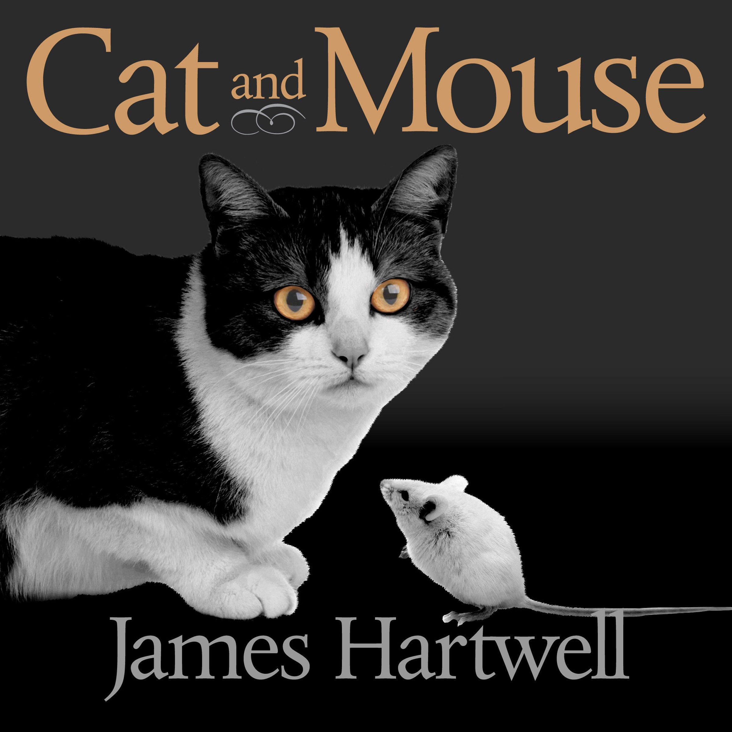 Cat and Mouse